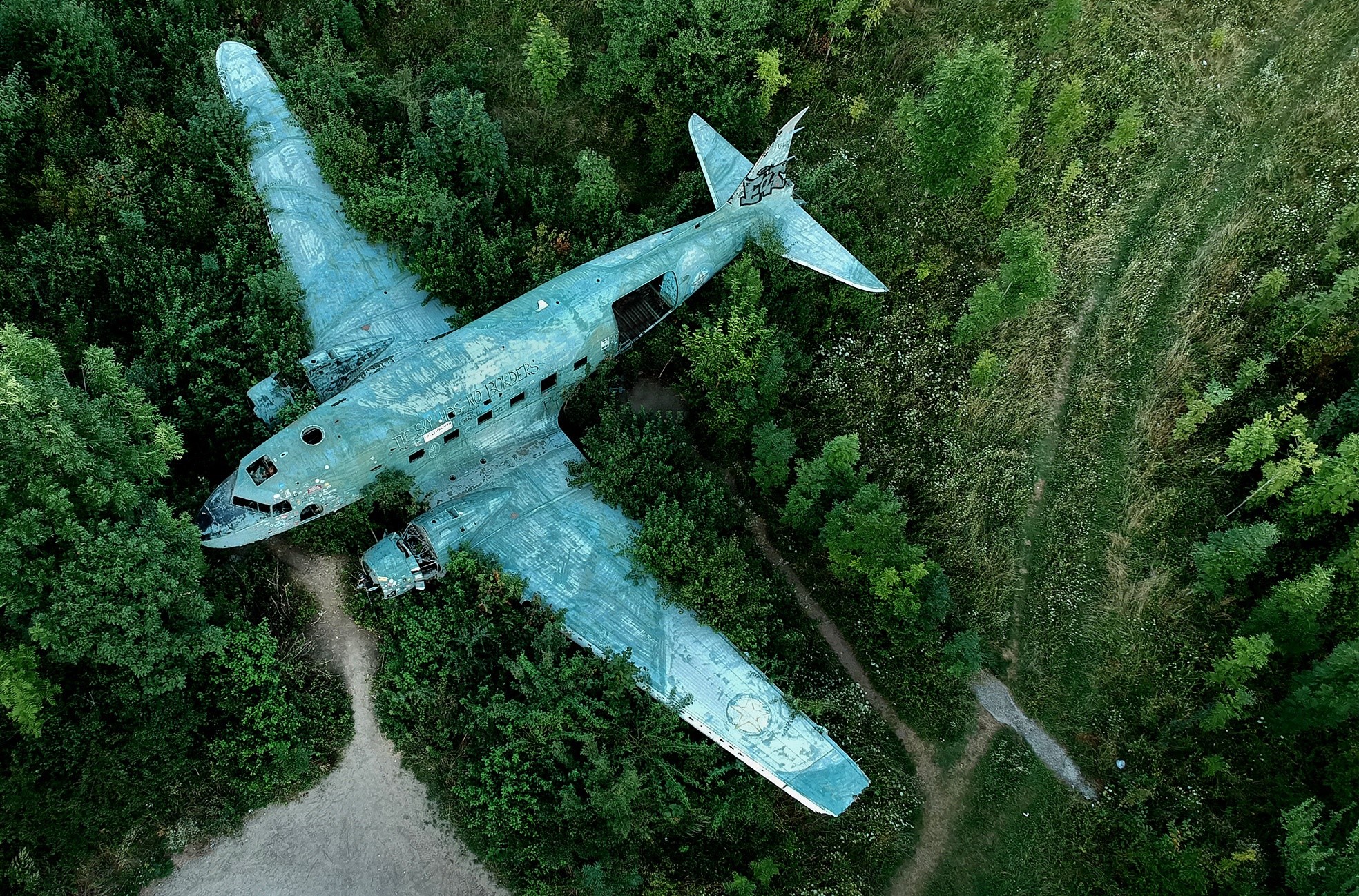 aircraft, trees, wreck, vehicle, HD Wallpaper