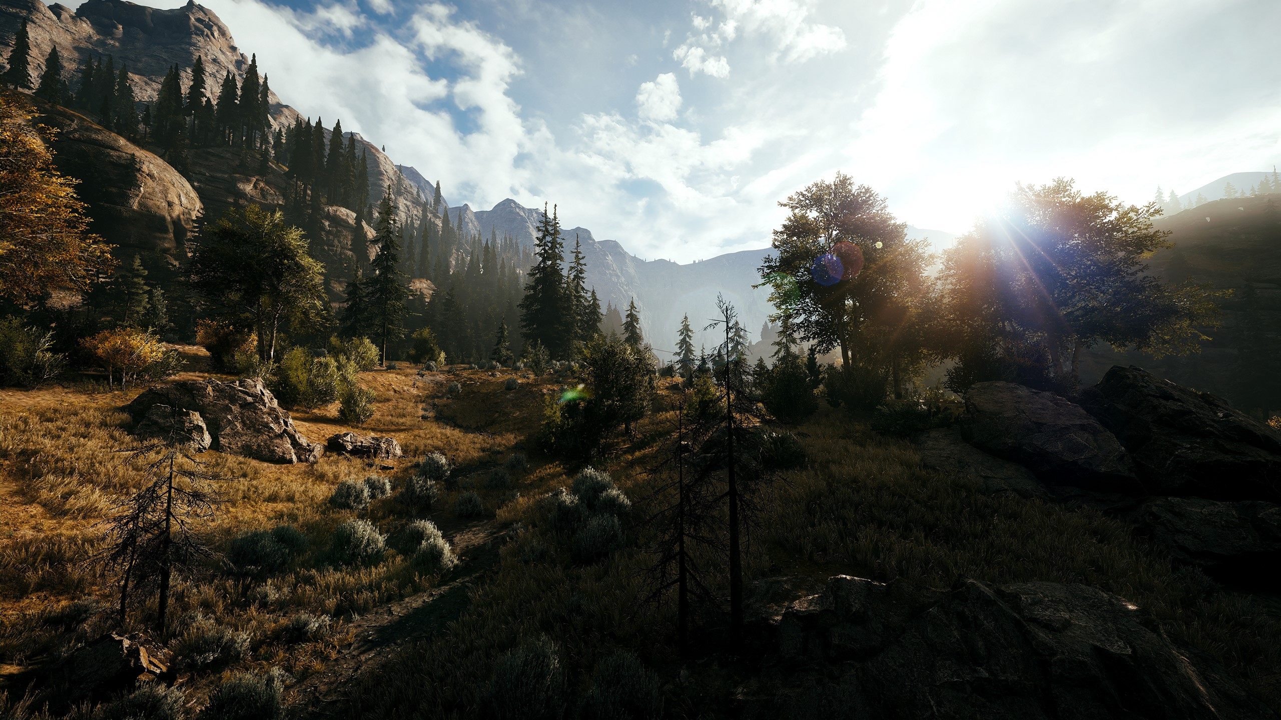 FarCry 5, landscape, sunset, wilderness, Moon, night, stars, game art, HD Wallpaper