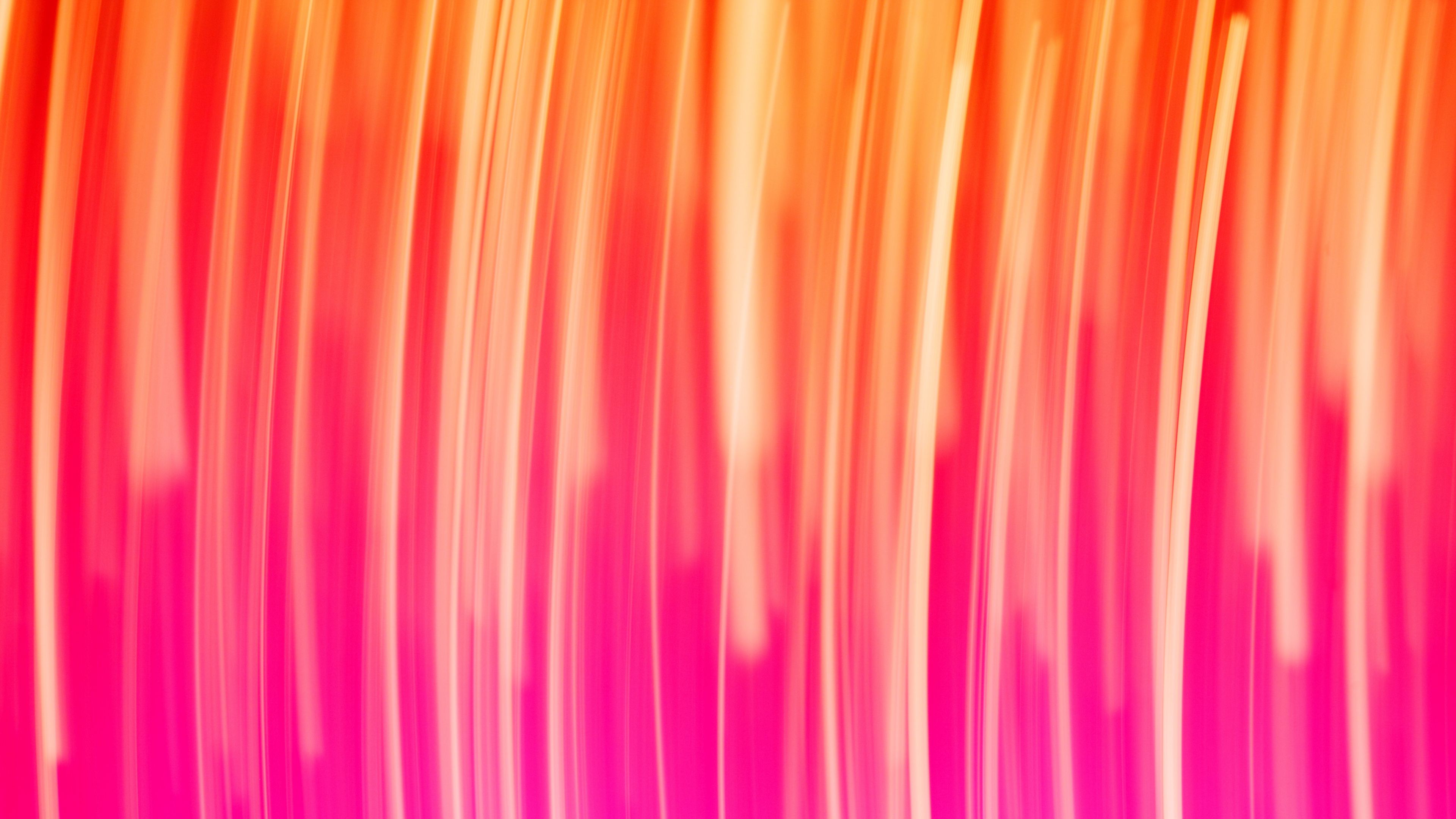 lines, pink, glow, vertical, 4k, HD Wallpaper