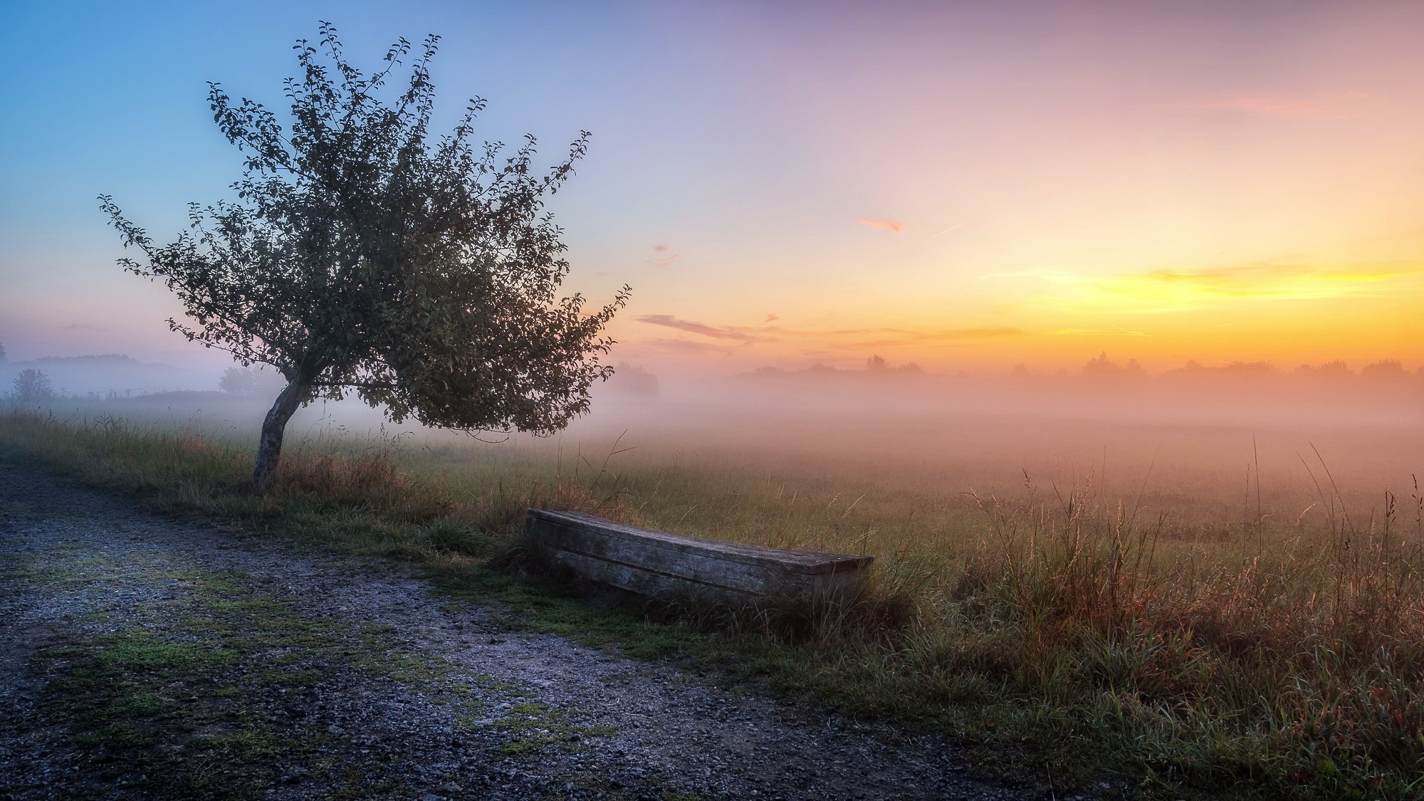 mist, landscape, sunlight, outdoors, HD Wallpaper