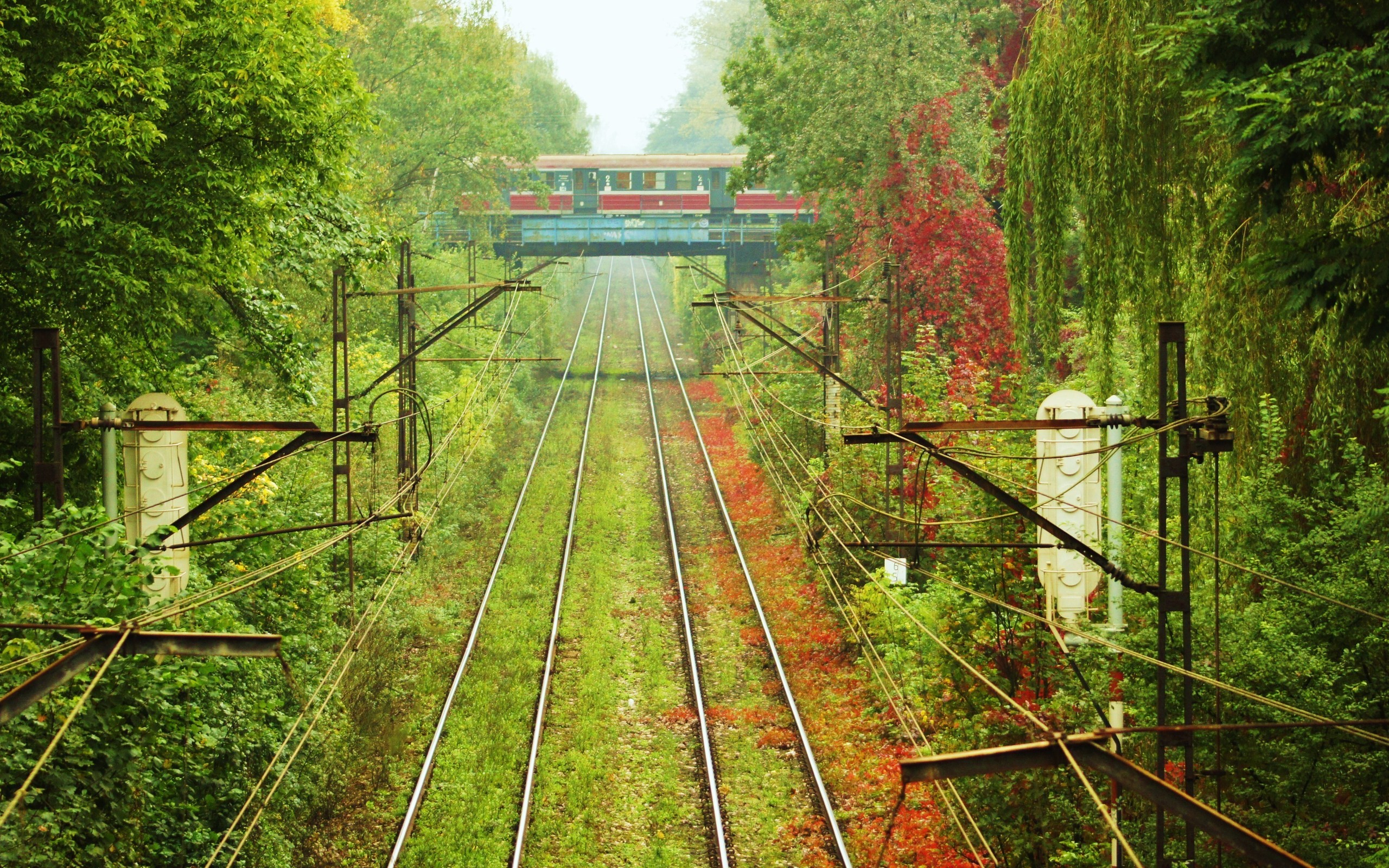 train, nature, trees, grass, HD Wallpaper