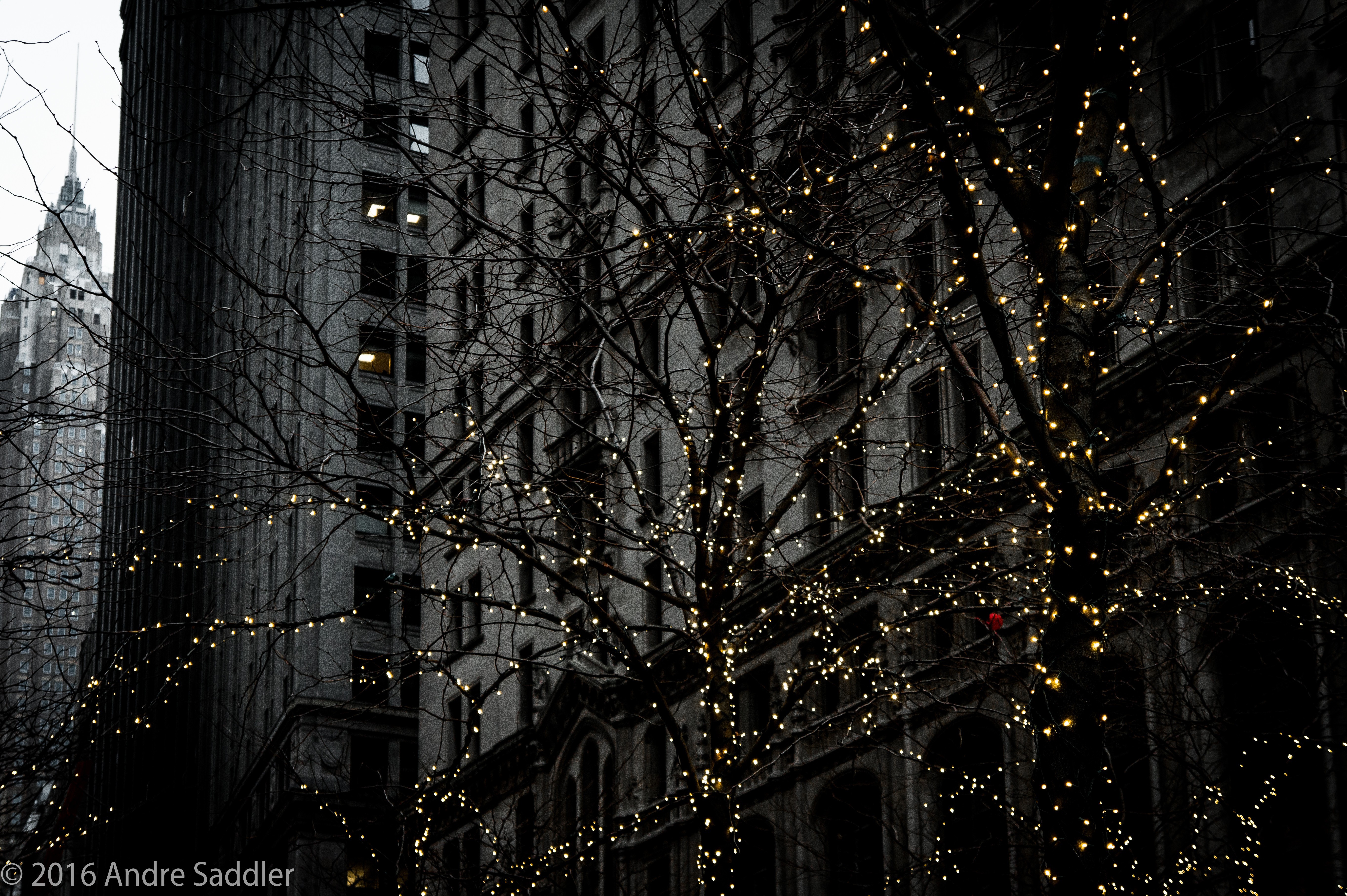 trees, city, faded, window, HD Wallpaper