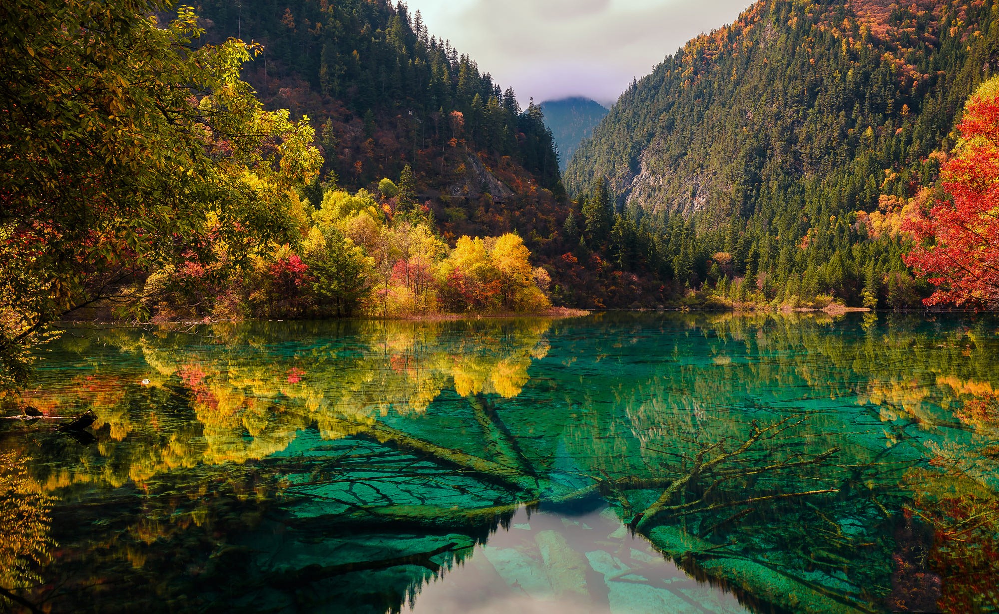 landscape, colorful, nature, mountains, trees, yellow, water, lake, reflection, fall, branch, green, HD Wallpaper