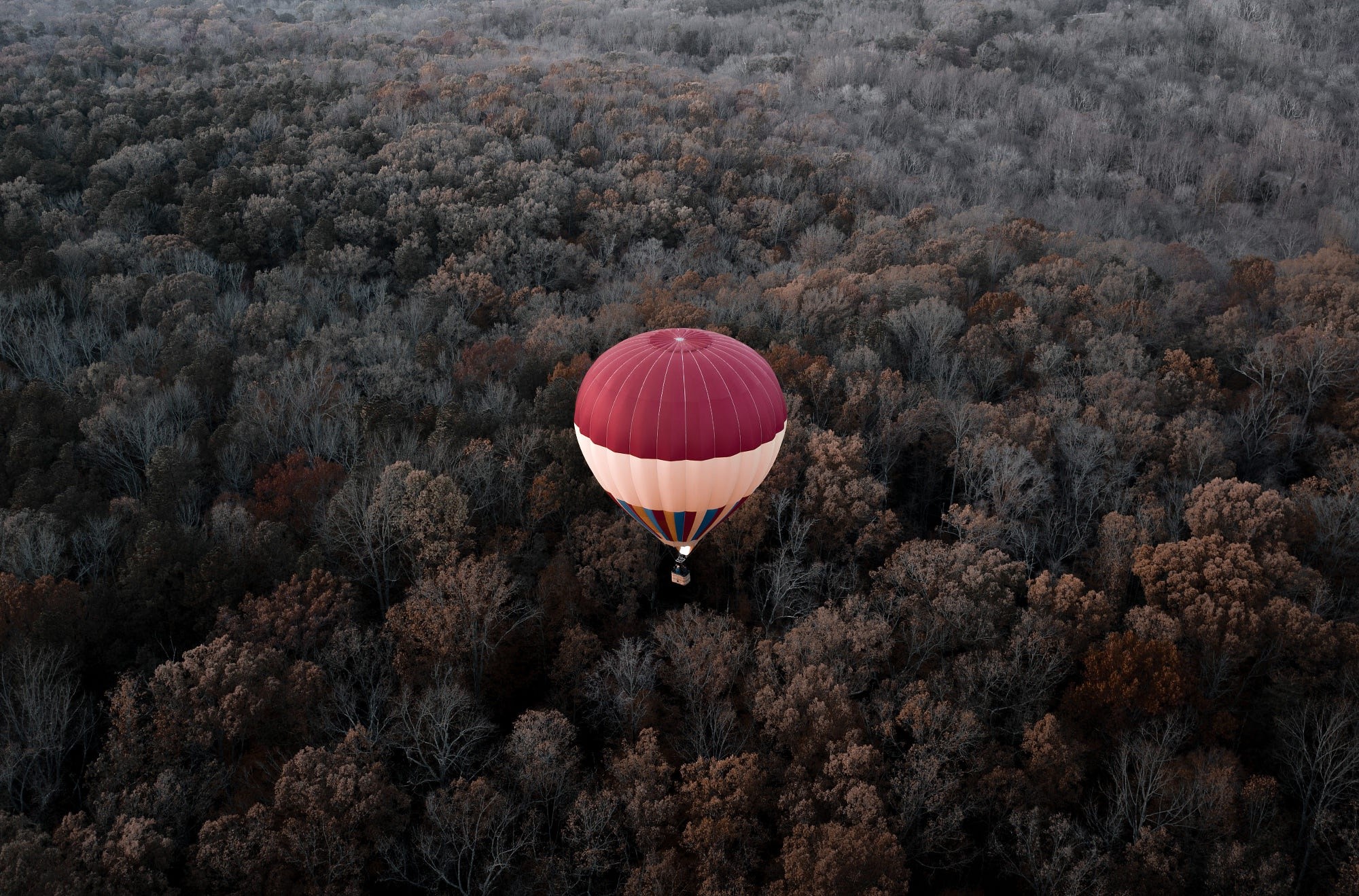 aerial view, vehicle, trees, HD Wallpaper