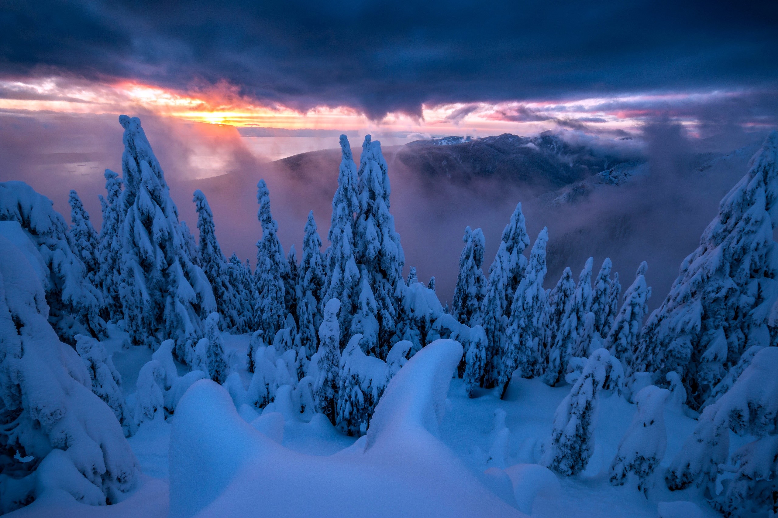 nature, sky, trees, winter, snow, HD Wallpaper