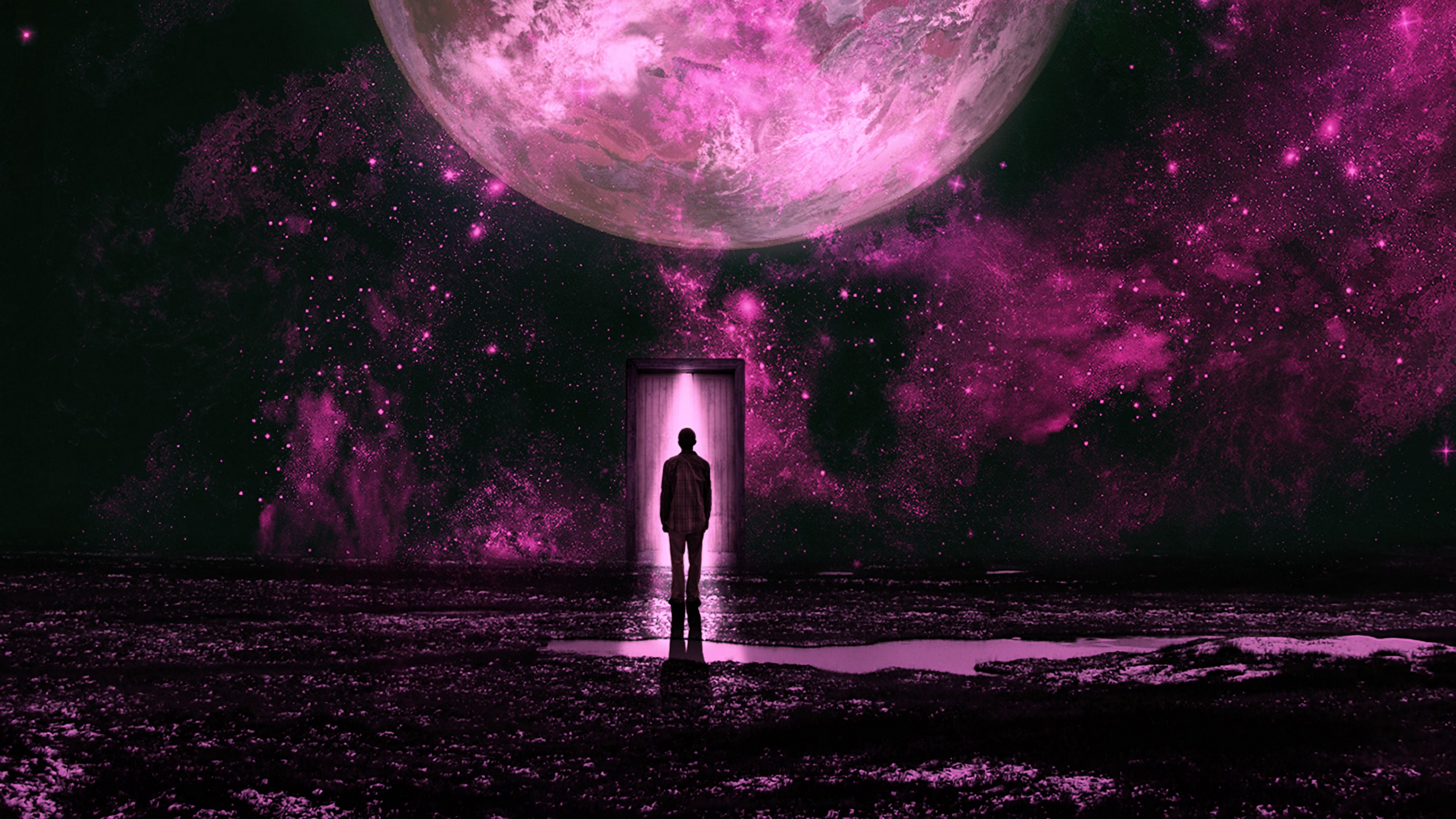 silhouette, planet, lilac, purple, fantastic, 4k, HD Wallpaper