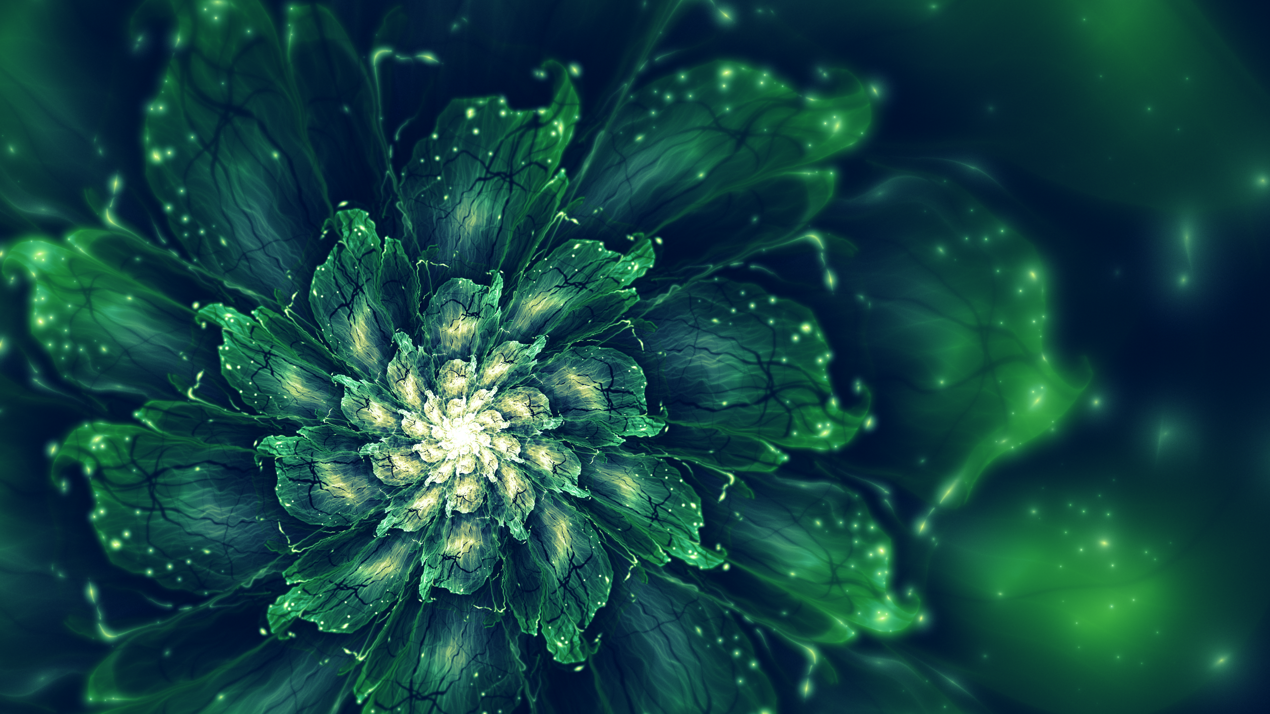 flowers, fractal flowers, fractal, abstract, HD Wallpaper