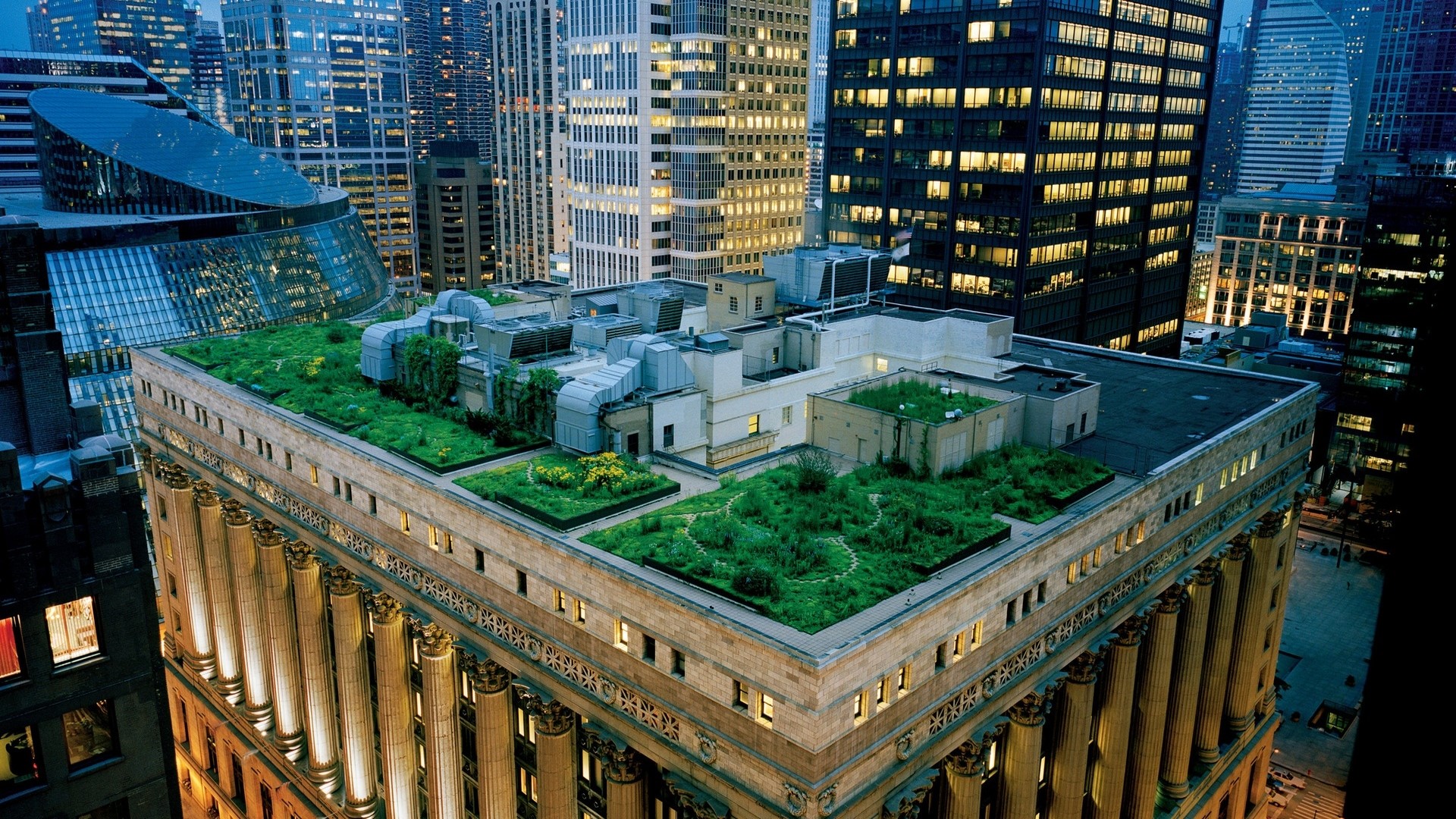 rooftops, garden, skyscraper, cityscape, HD Wallpaper