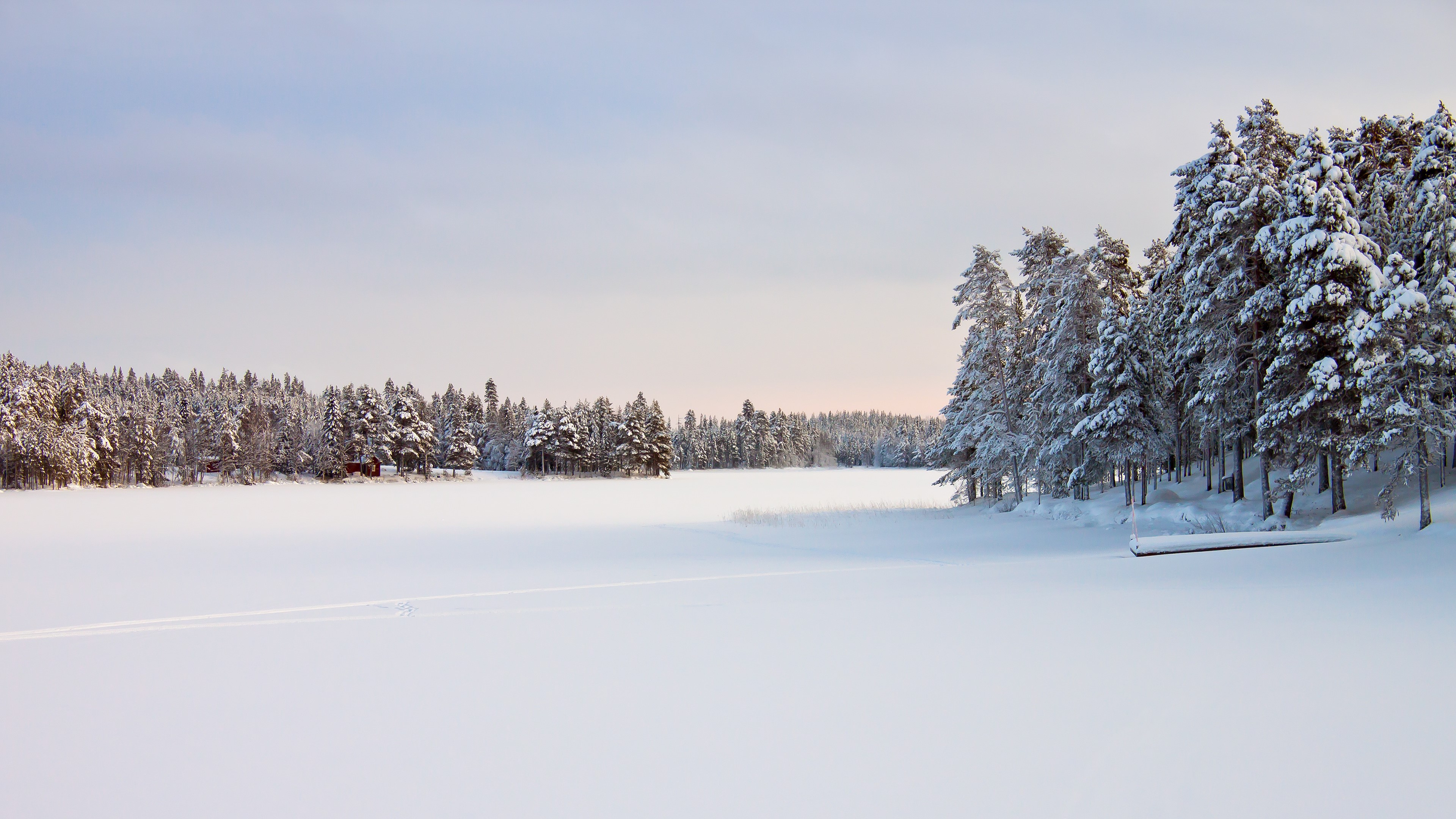 snow, trees, winter, nature, sky, landscape, HD Wallpaper