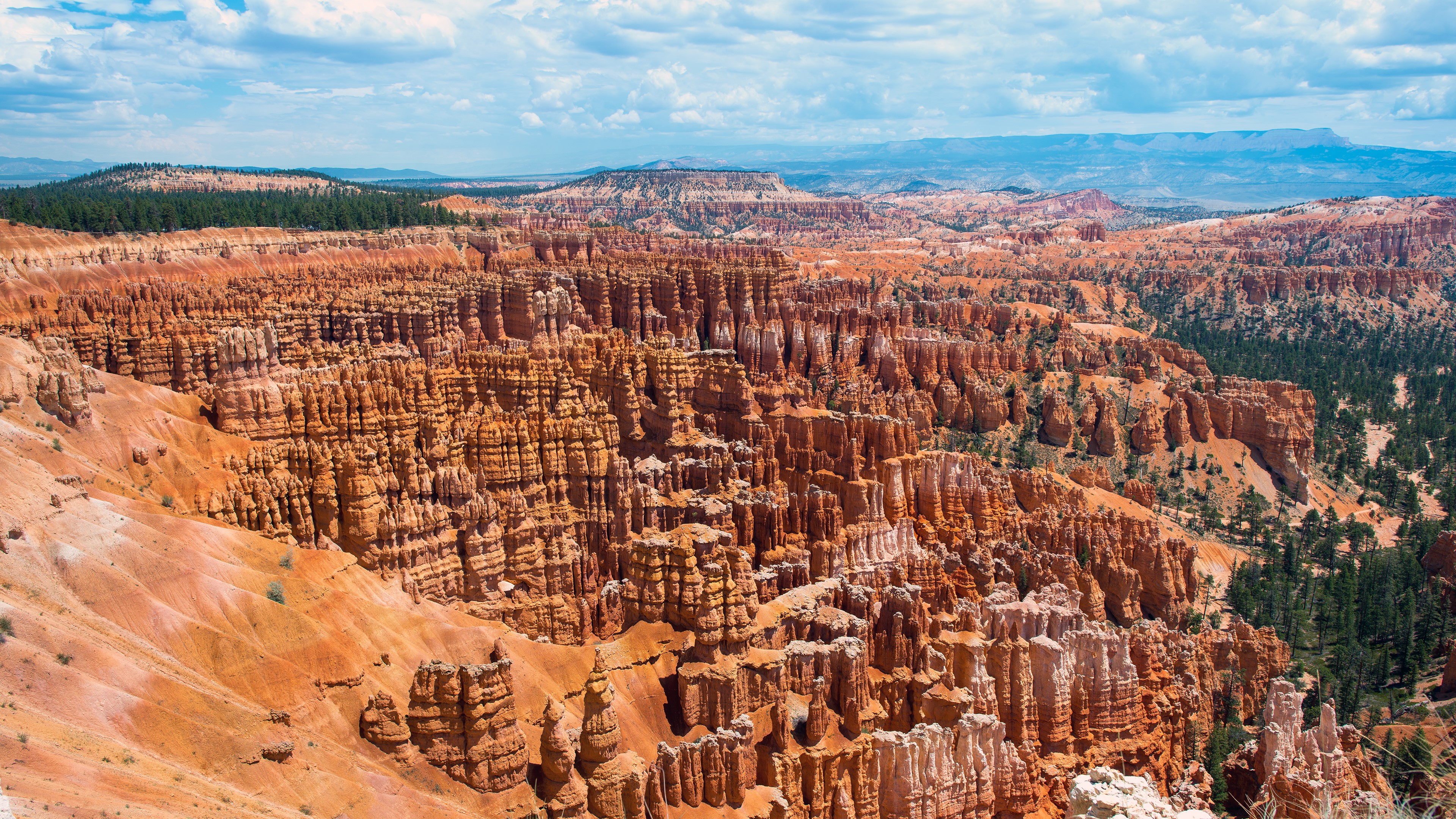 rocks, nature, landscape, trees, USA, Bryce Canyon National Park, HD Wallpaper