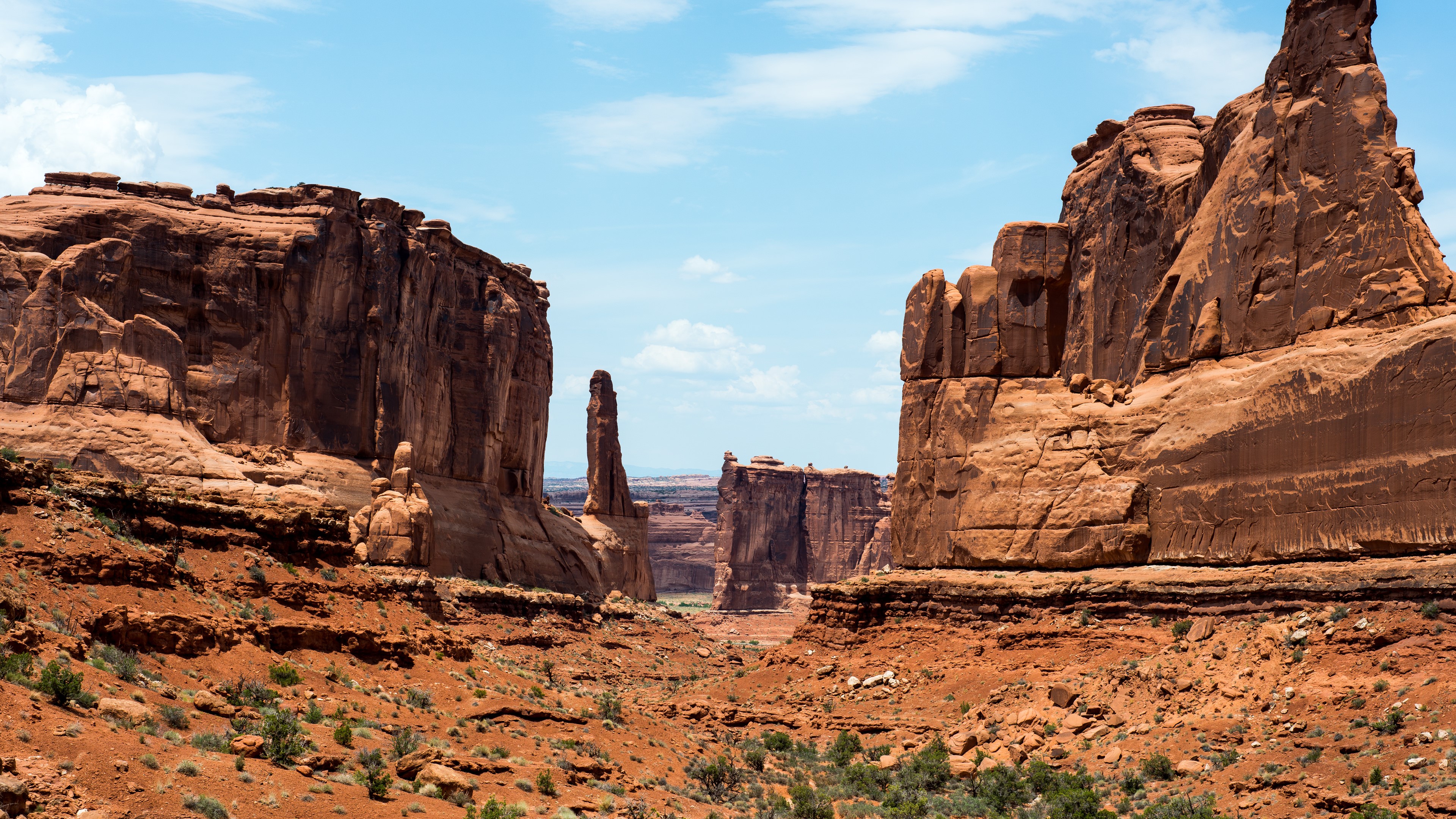 rocks, plants, nature, landscape, USA, rock, desert, HD Wallpaper