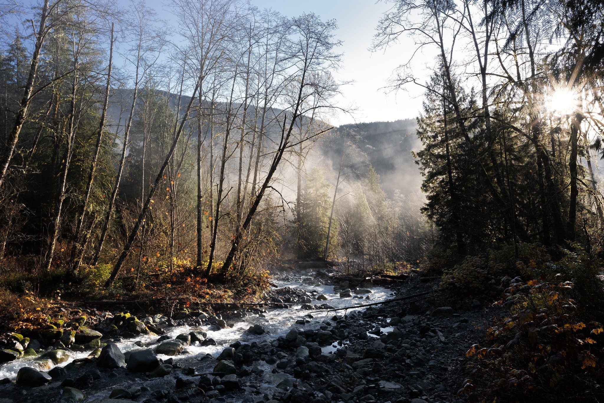 river, water, trees, nature, fall, HD Wallpaper