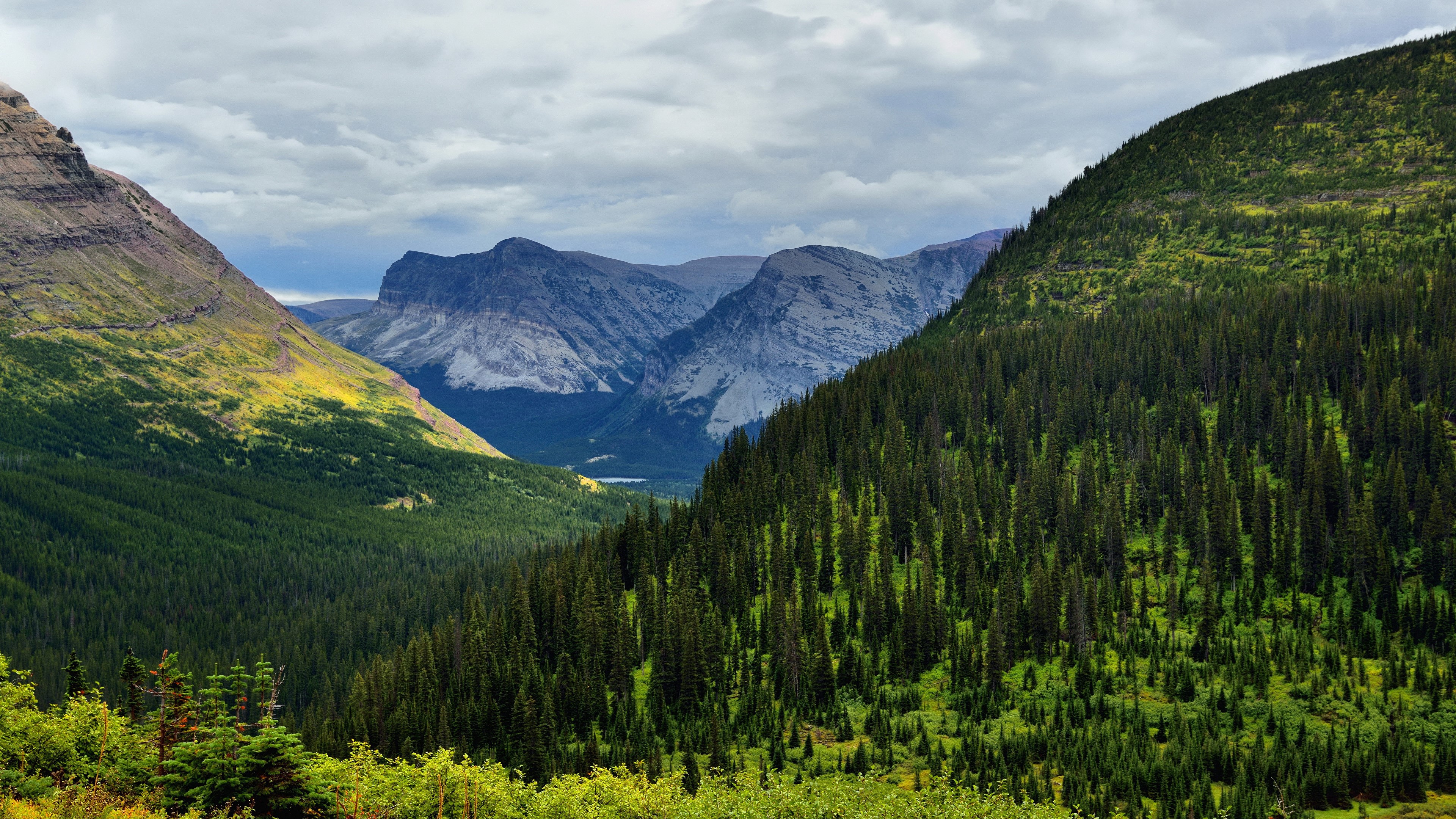 forest, green, grass, mountains, hills, rocks, clouds, nature, landscape, HD Wallpaper