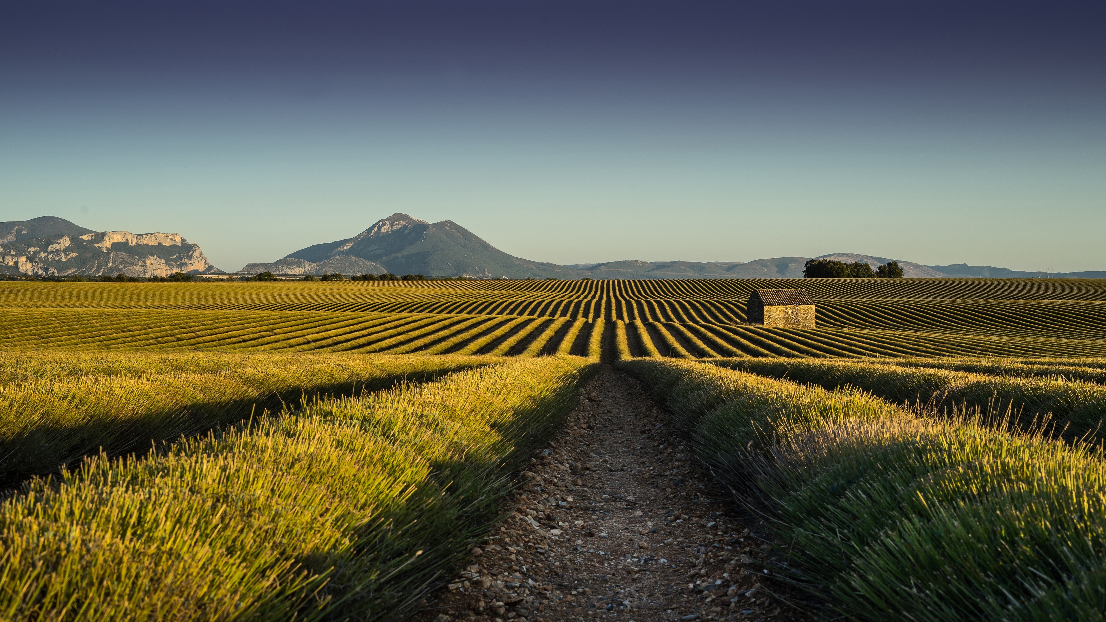 crops, building, mountains, nature, landscape, clear sky, road, field, HD Wallpaper