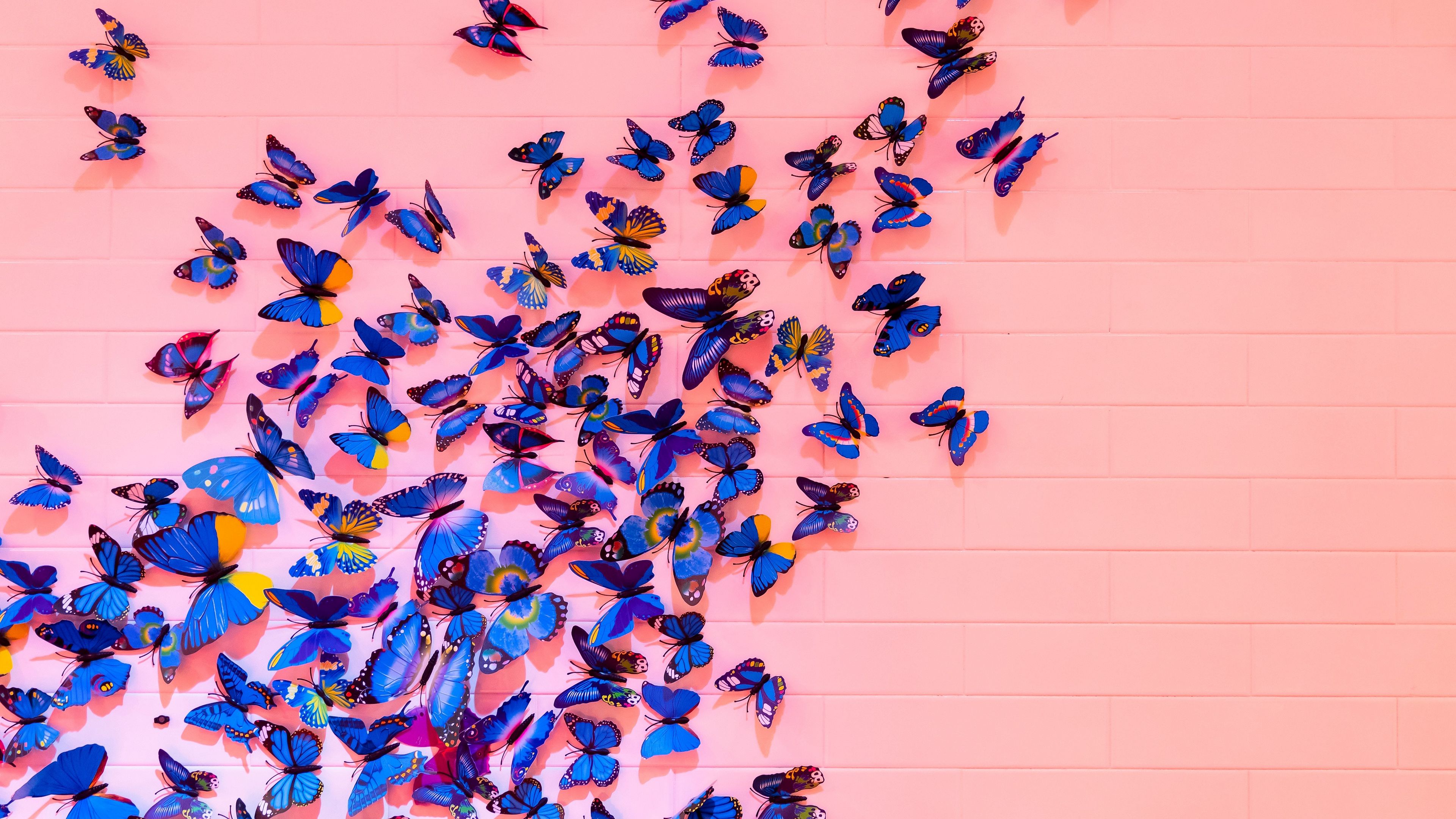 butterflies, wall, decoration, design, 4k, HD Wallpaper