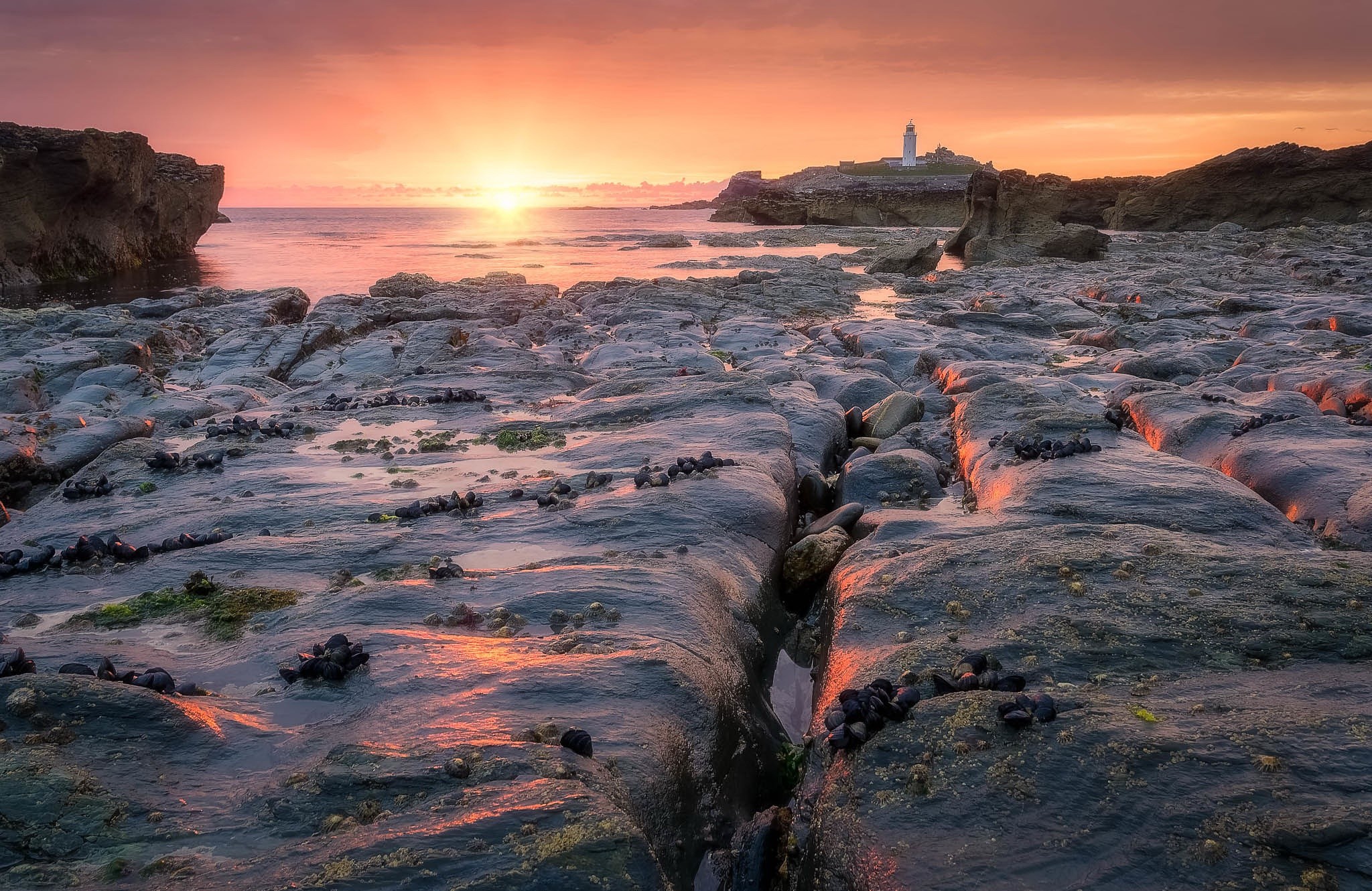 coast, nature, sunset, sunlight, outdoors, HD Wallpaper
