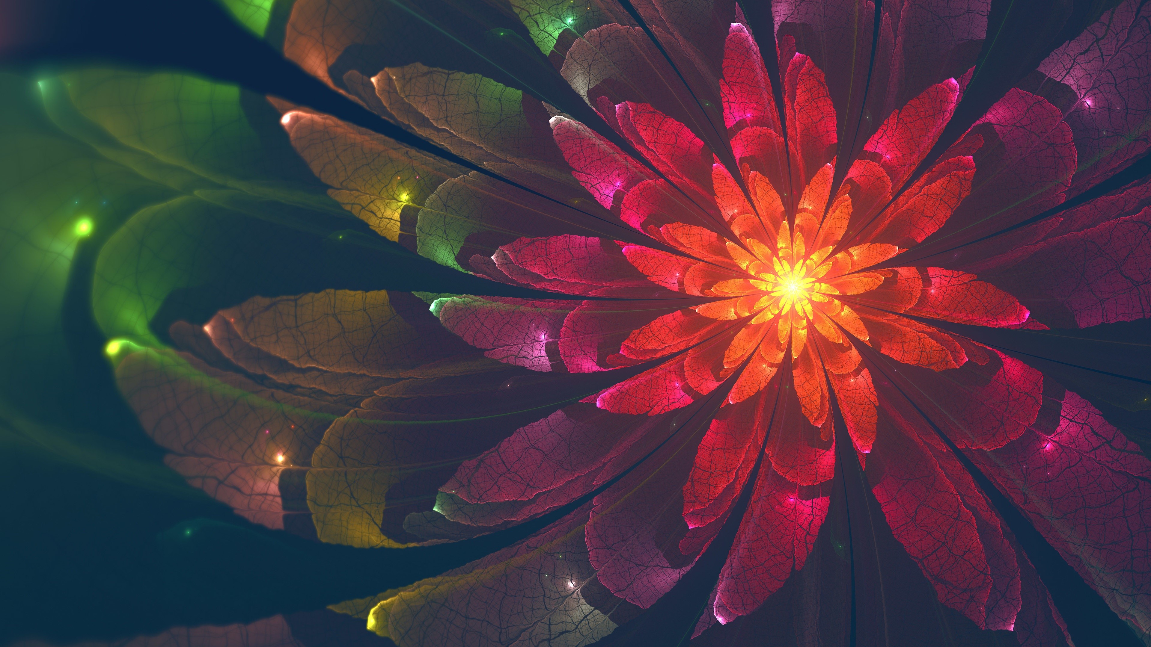 fractal, fractal flowers, flowers, 4K, abstract, digital art, HD Wallpaper