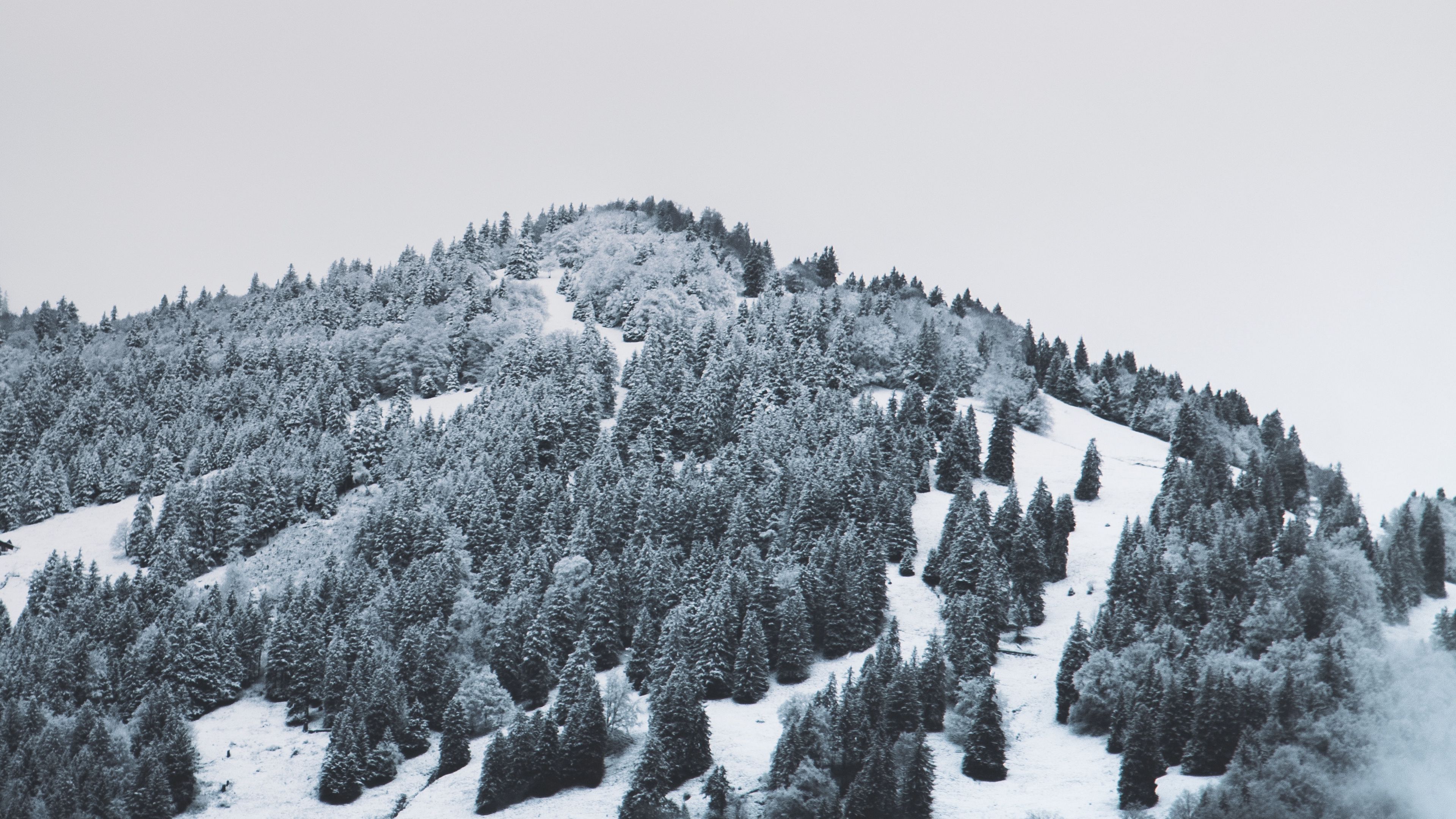 mountain, trees, snow, hill, fog, 4k, HD Wallpaper