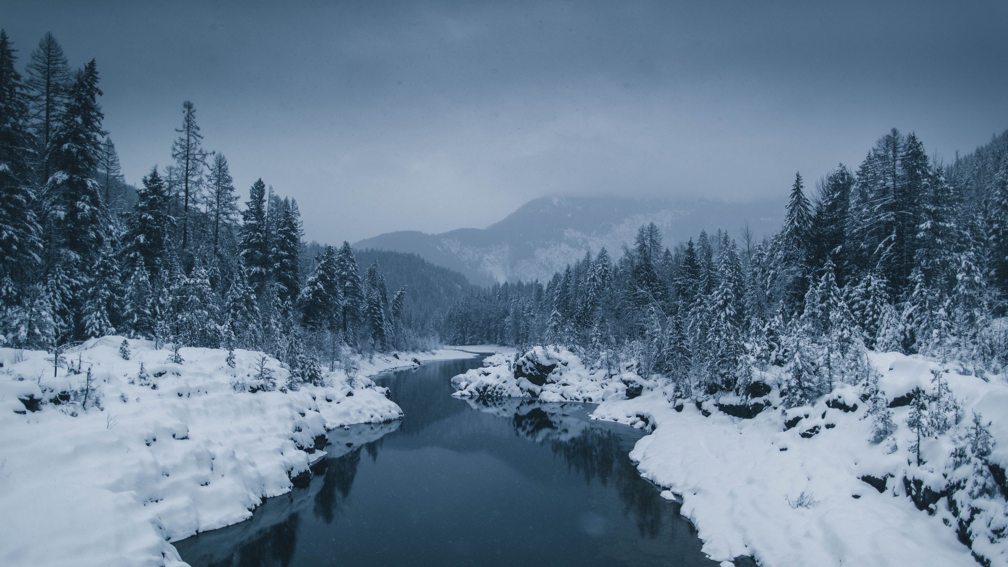 river, fog, snow, winter, trees, 4k, HD Wallpaper