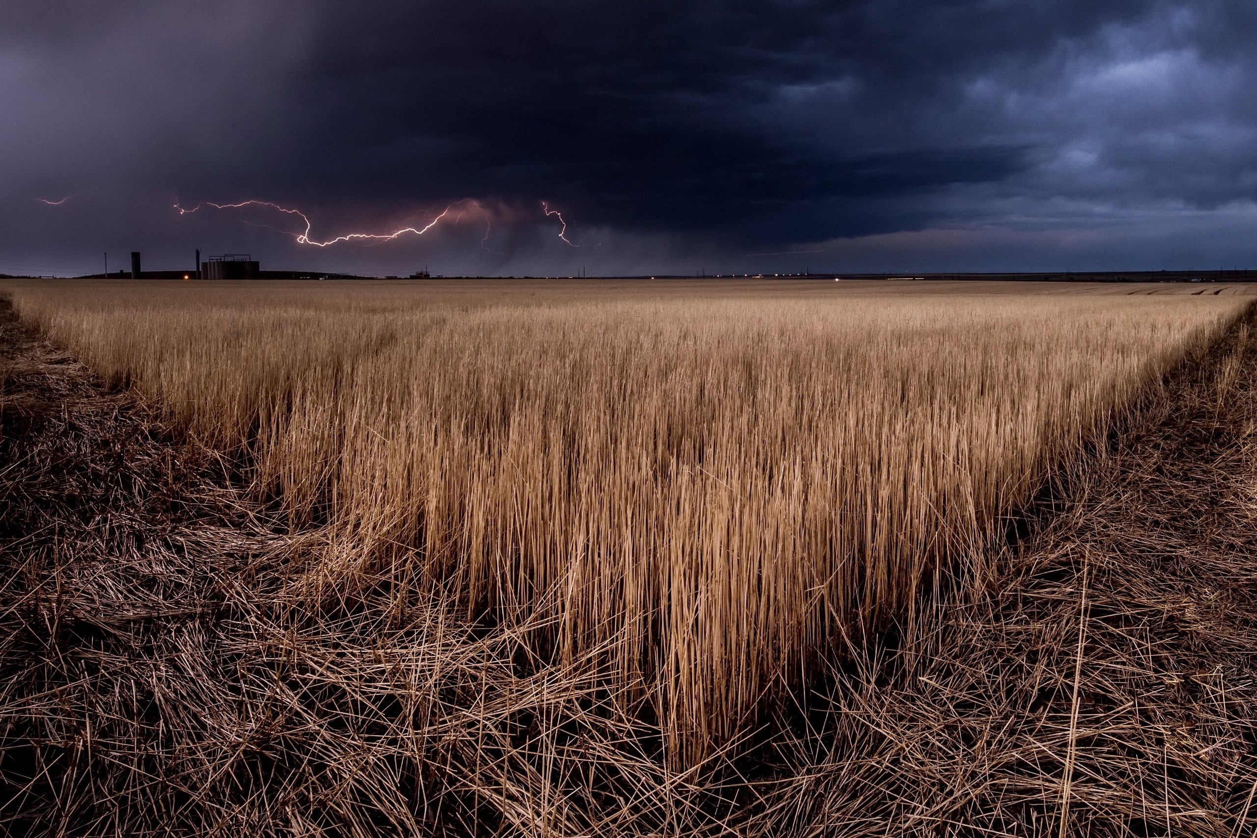 field, sky, outdoors, Agro (Plants), lightning, HD Wallpaper