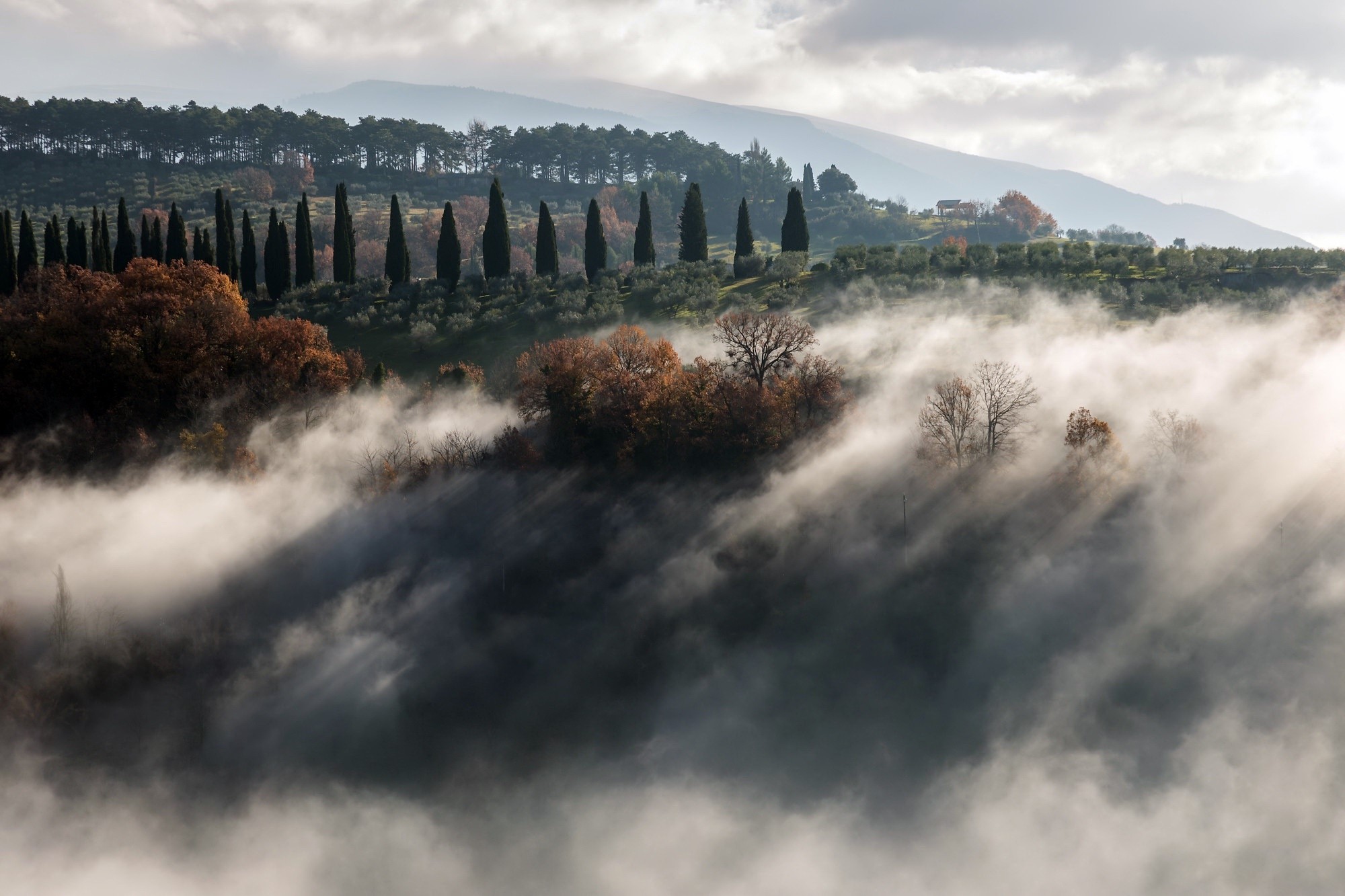 landscape, morning, mist, outdoors, HD Wallpaper