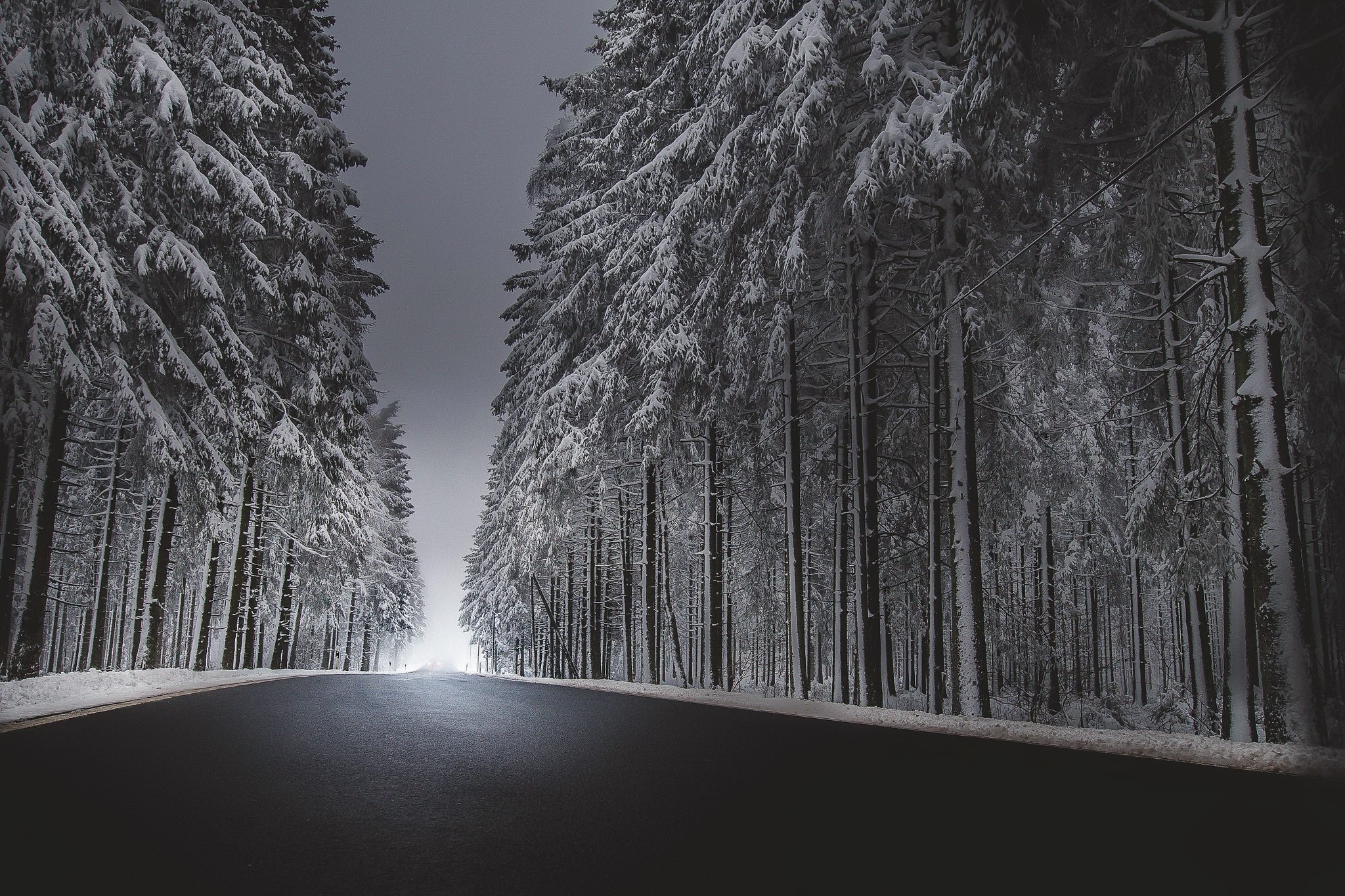 road, winter, trees, asphalt, snow, HD Wallpaper