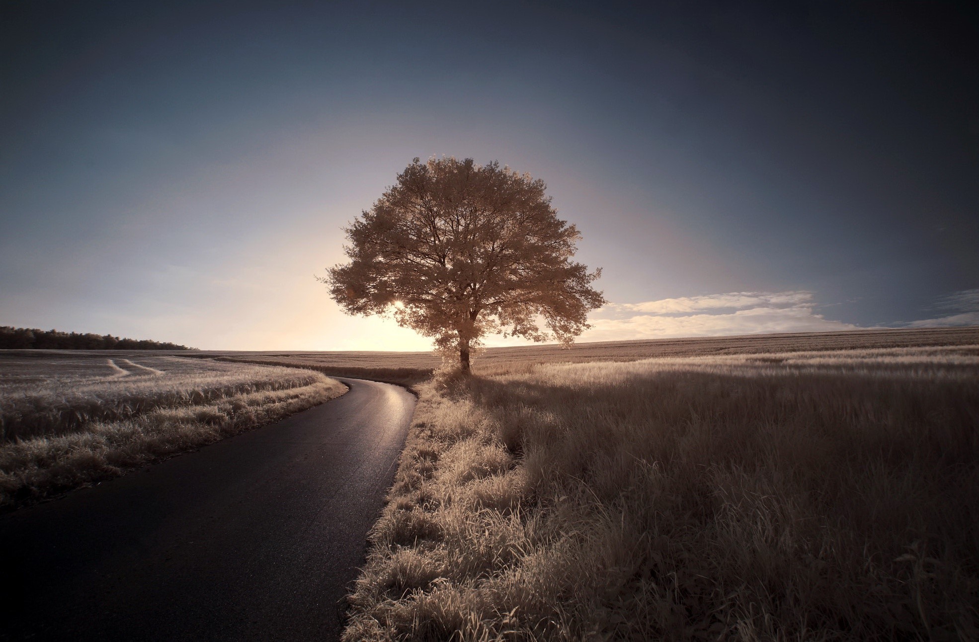 outdoors, sky, road, trees, landscape, HD Wallpaper