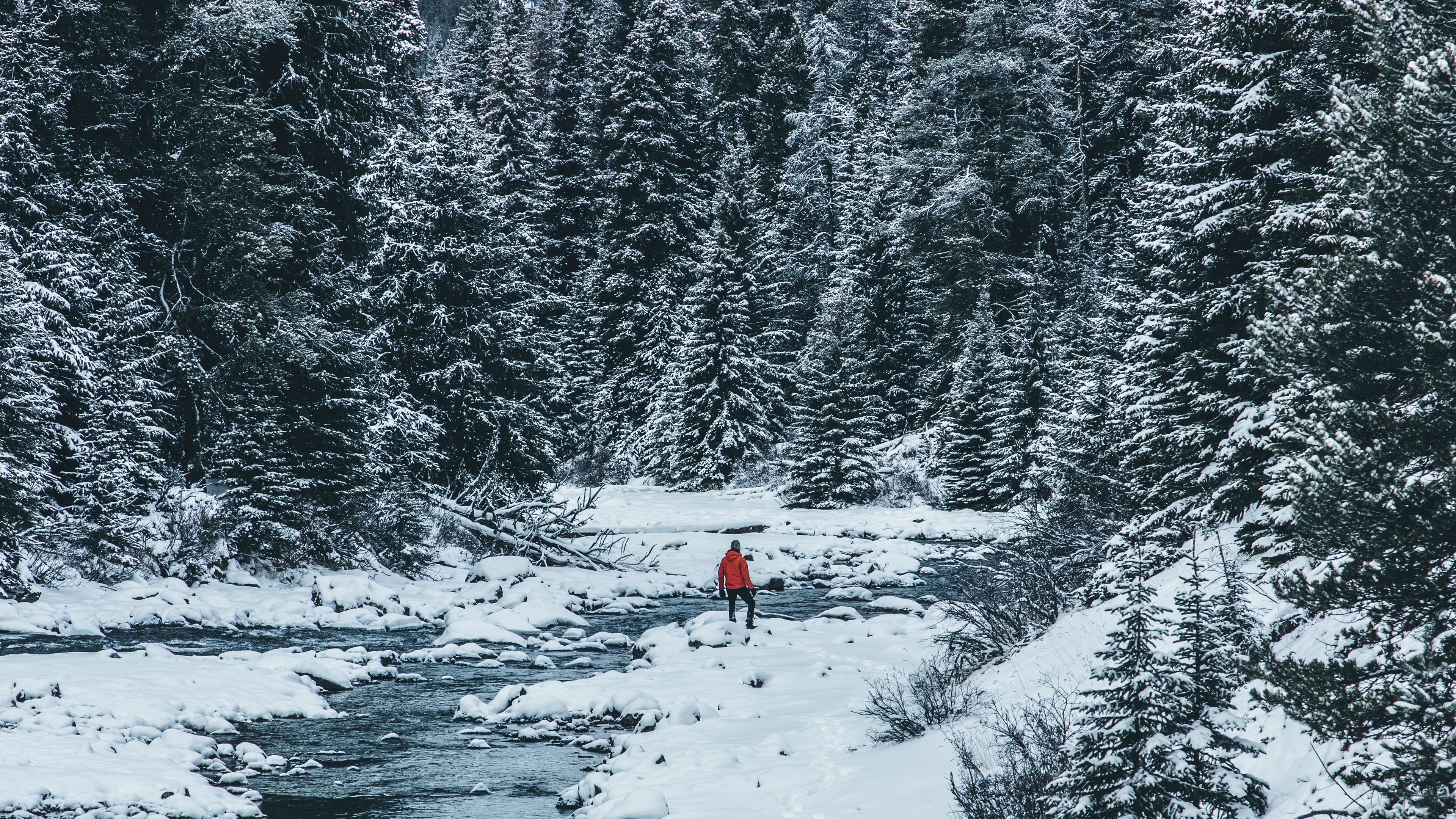 man, winter, river, snow, trees, 4k, HD Wallpaper