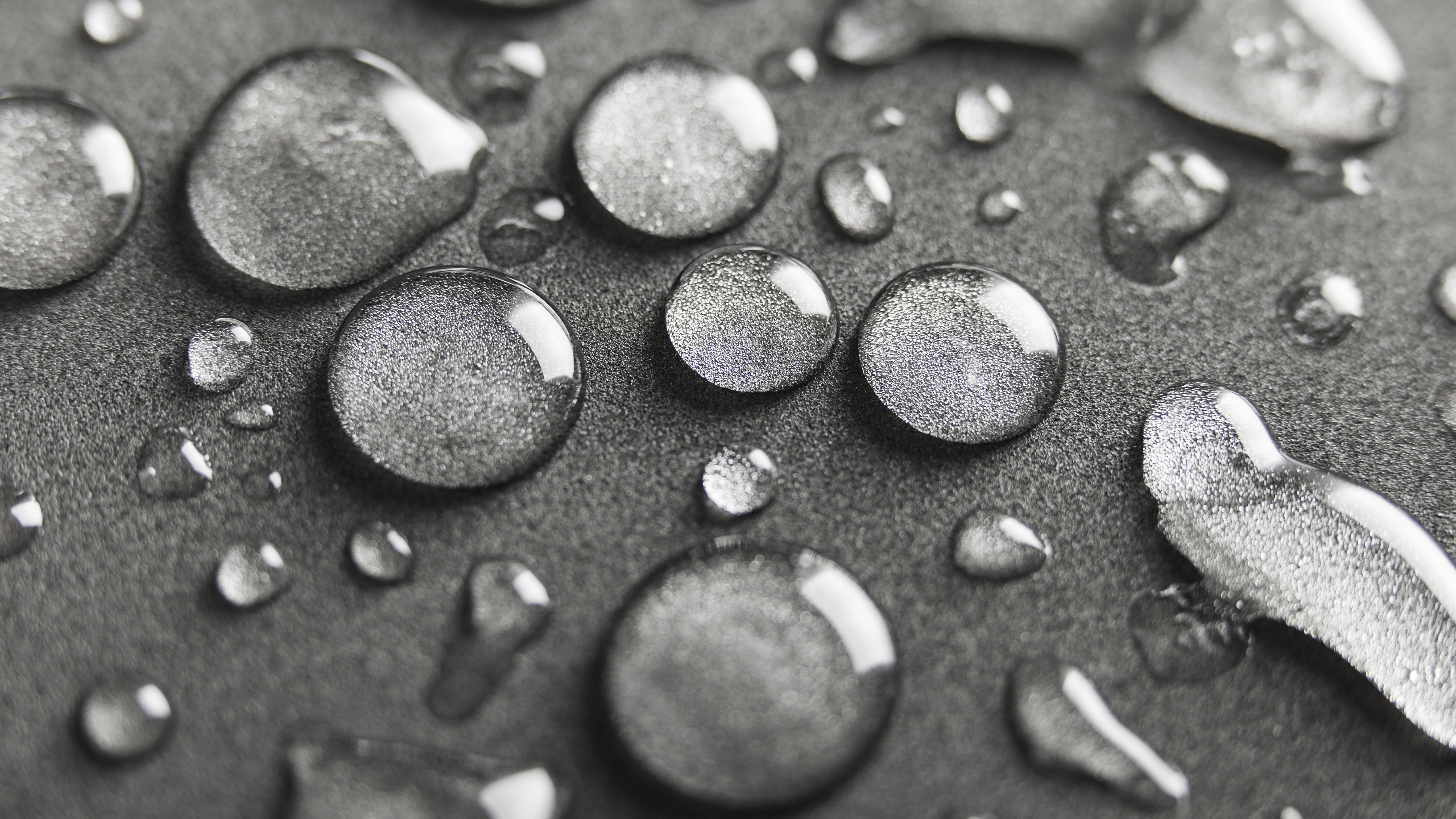 macro, water drops, monochrome, HD Wallpaper