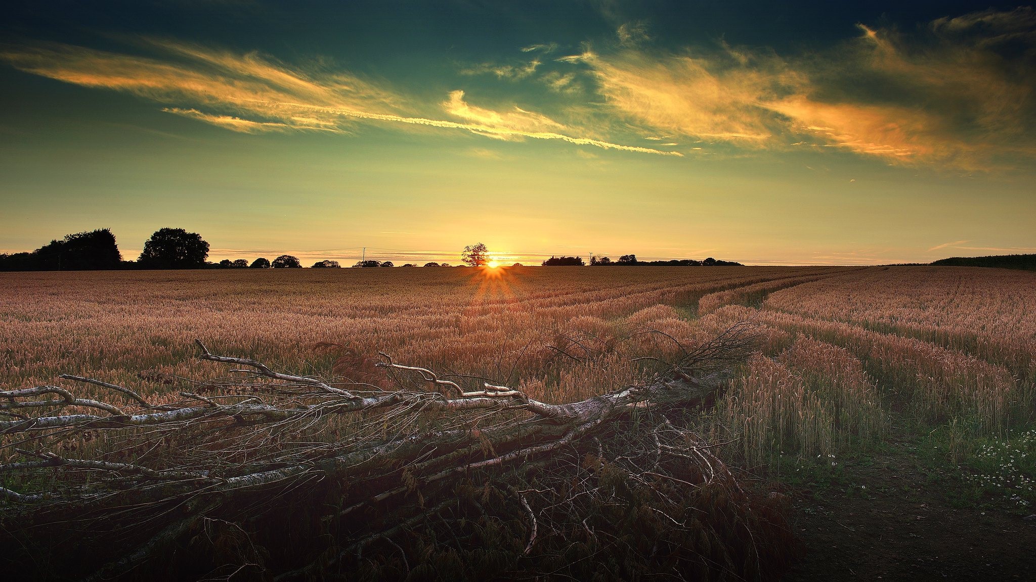 sky, Sun, field, landscape, outdoors, color correction, HD Wallpaper