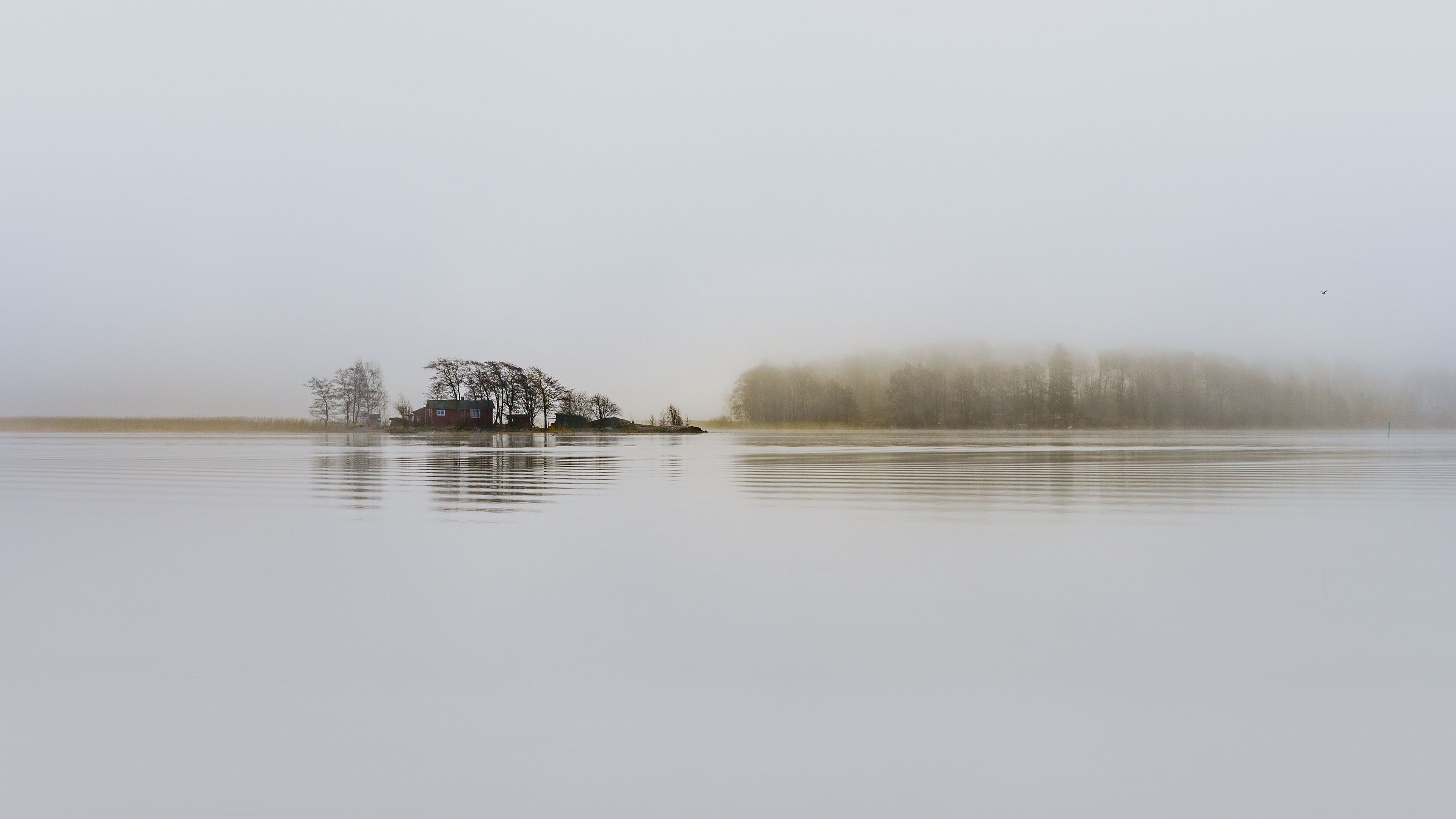lake, fog, house, silence, trees, helsinki, finland, 4k, HD Wallpaper