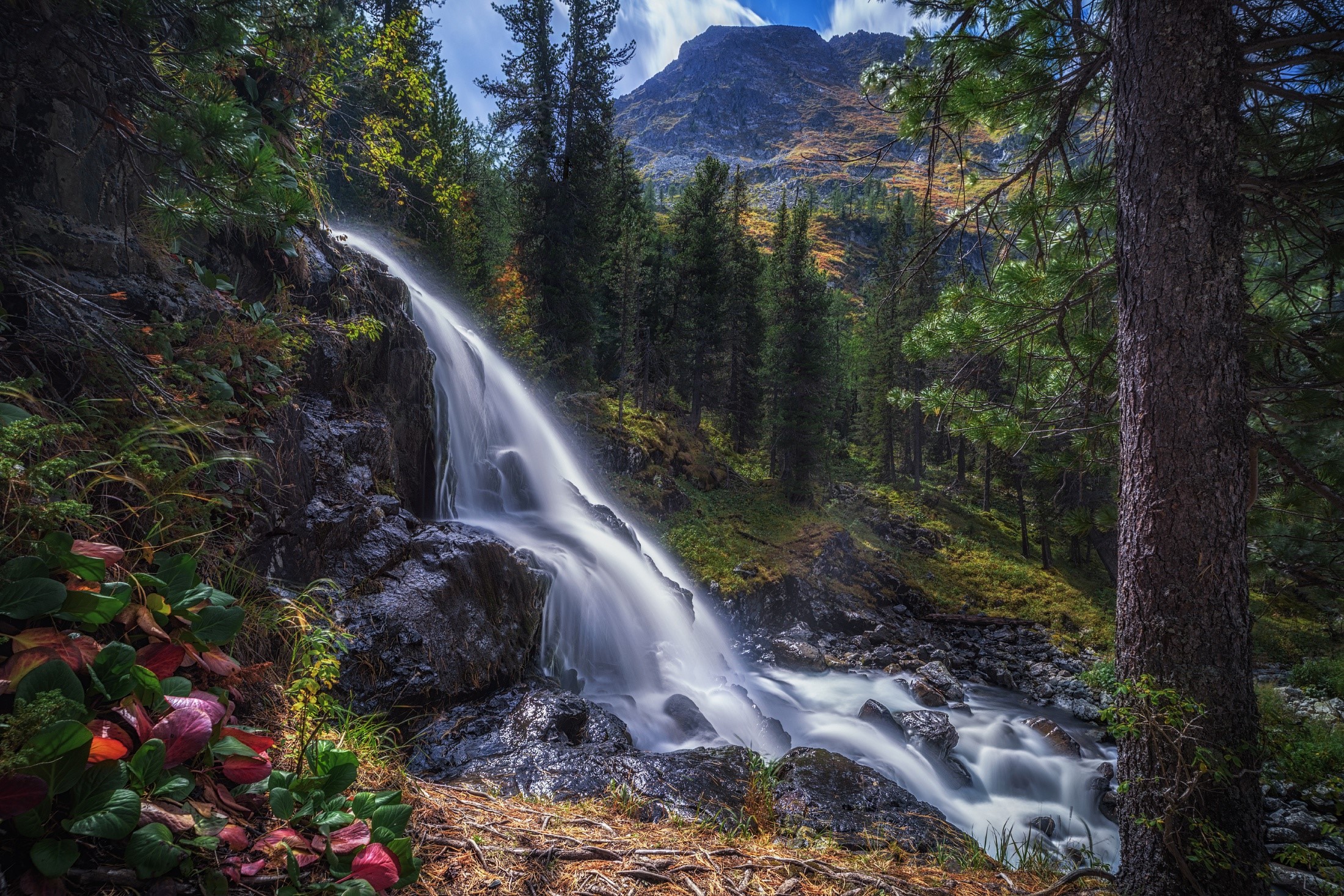 water, nature, waterfall, plants, outdoors, trees, HD Wallpaper