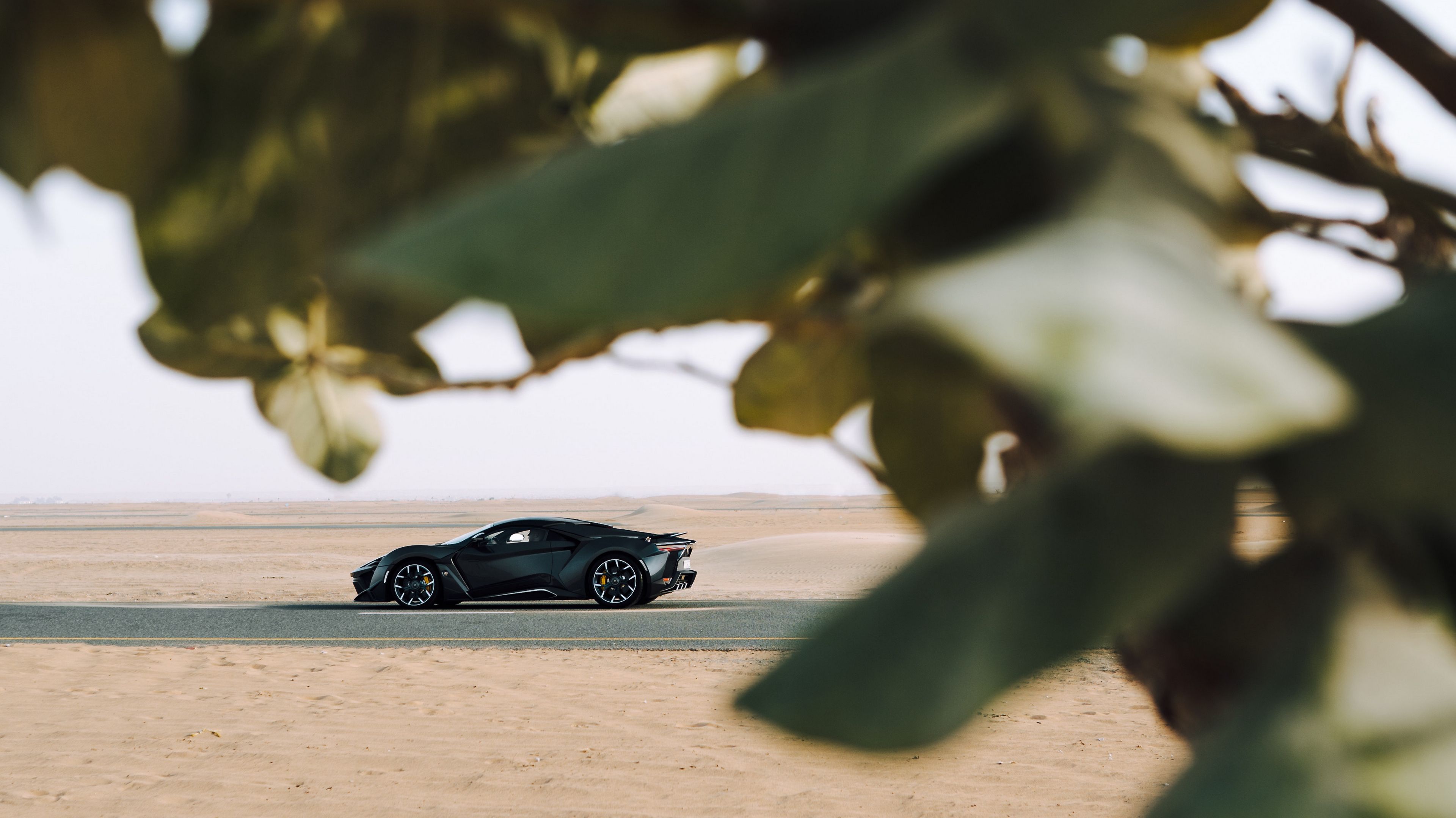 sports car, car, sand, branches, leaves, 4k, HD Wallpaper