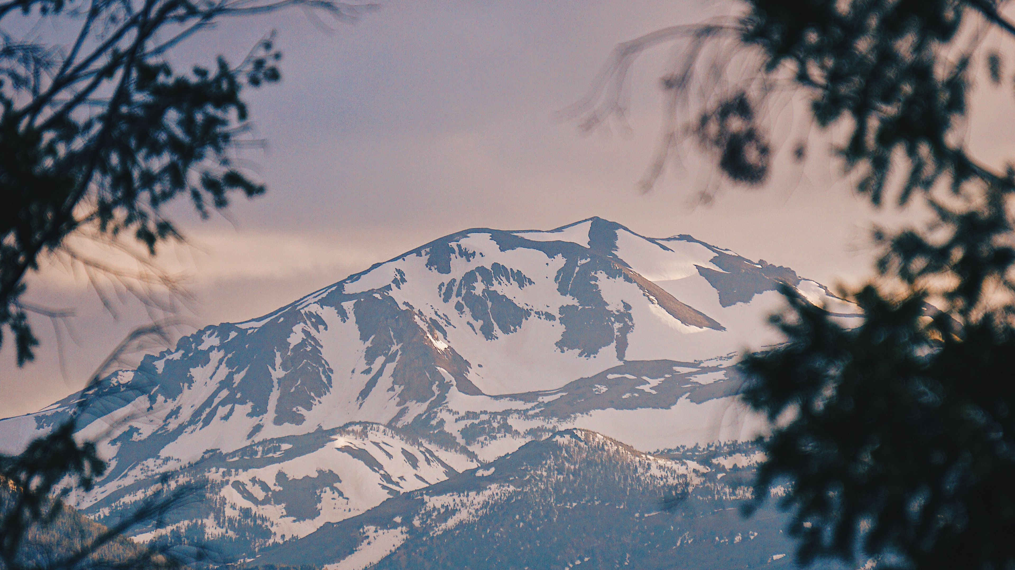 mountains, fog, branches, peak, snowy, bridgeport, usa, 4k, HD Wallpaper