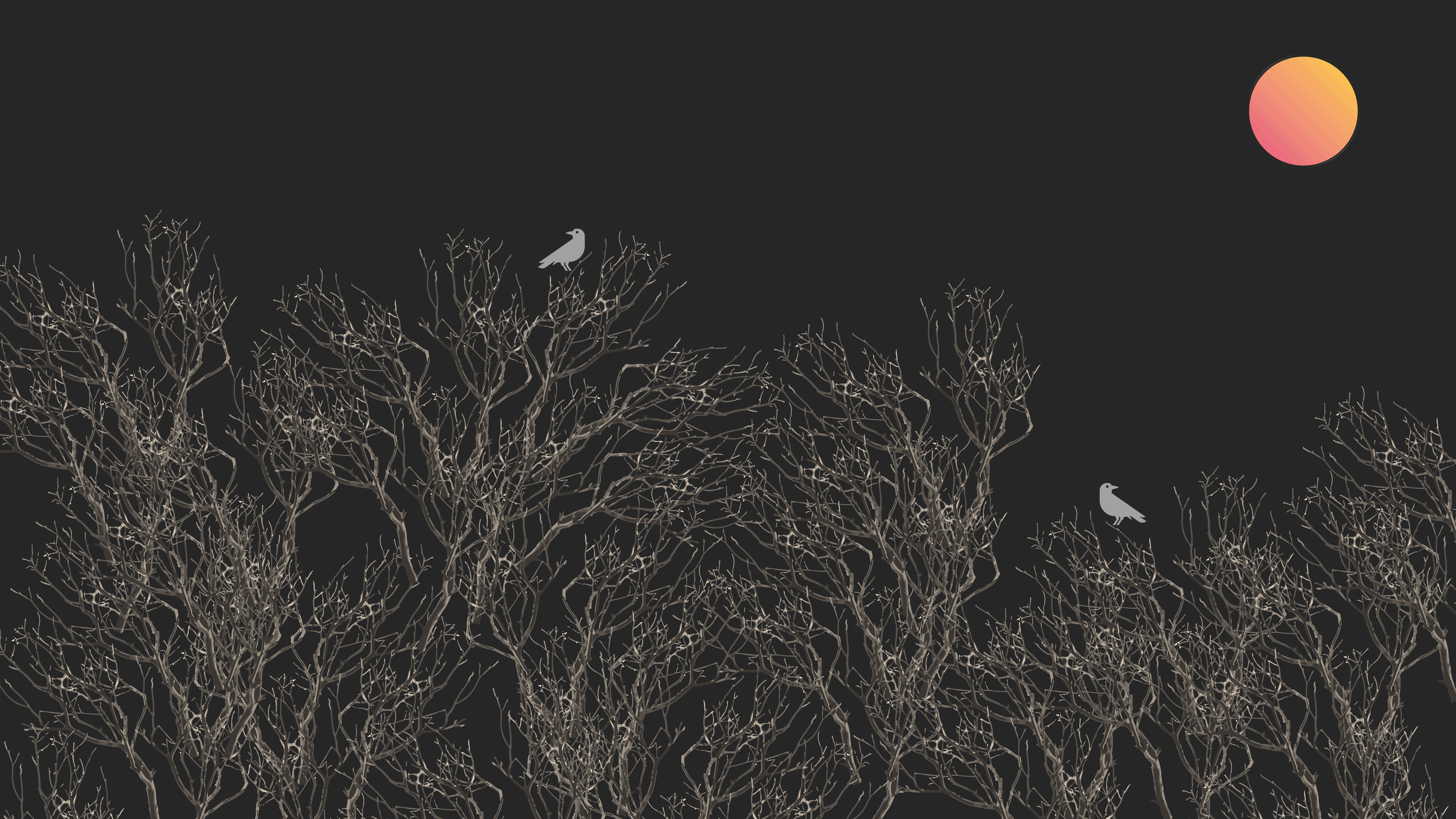 simple, vector, minimalism, HD Wallpaper