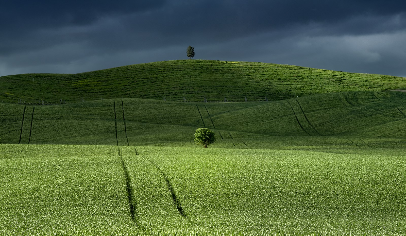 nature, landscape, trees, hill, field, clouds, green, HD Wallpaper