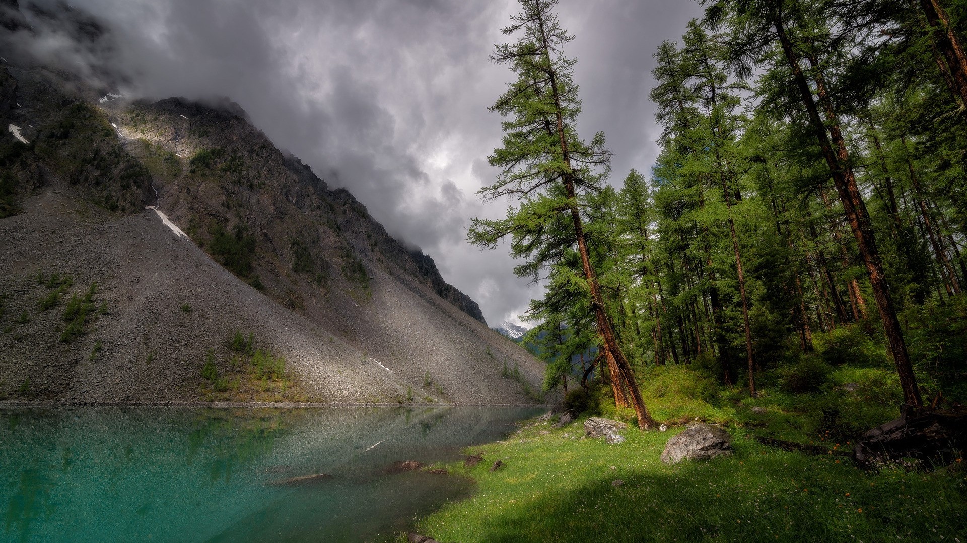 nature, landscape, trees, forest, lake, grass, reflection, clouds, mountains, HD Wallpaper