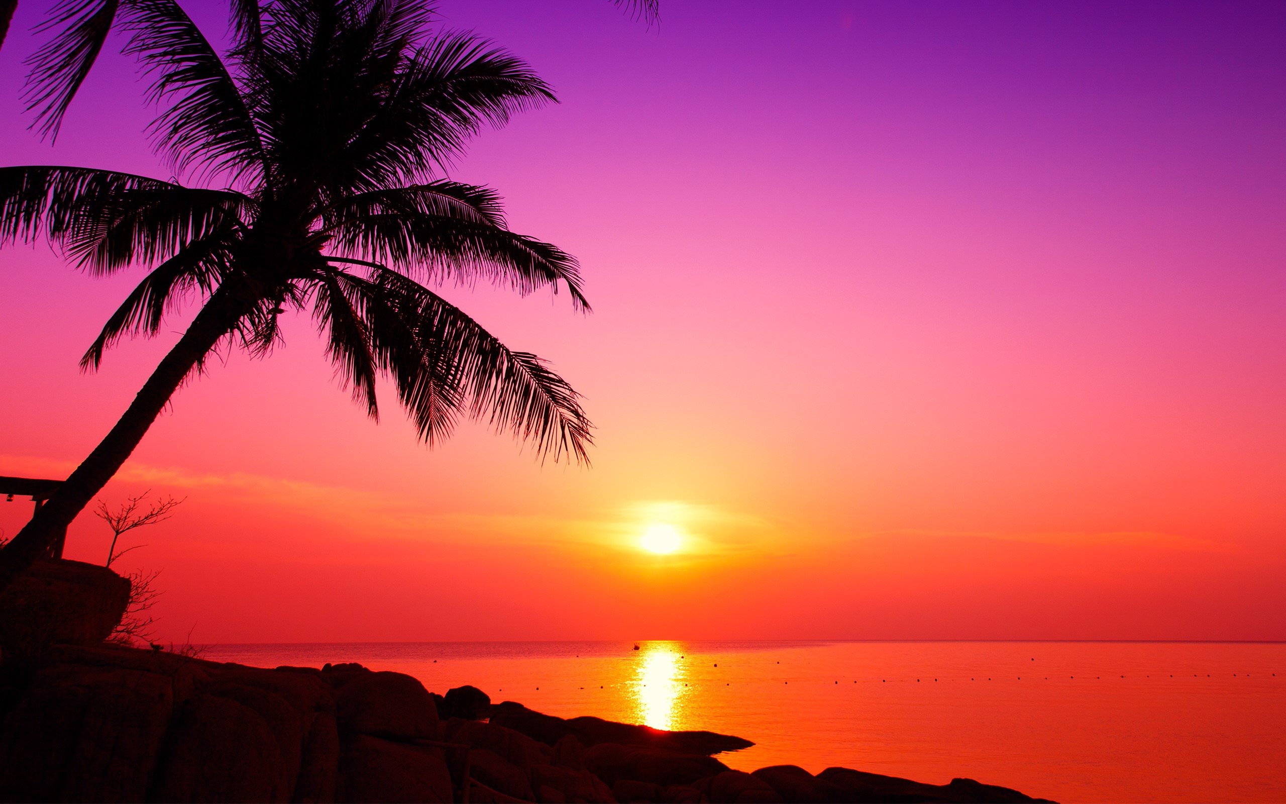 Nangyuan, Sun, sky, sea, outdoors, colorful, palm trees, HD Wallpaper