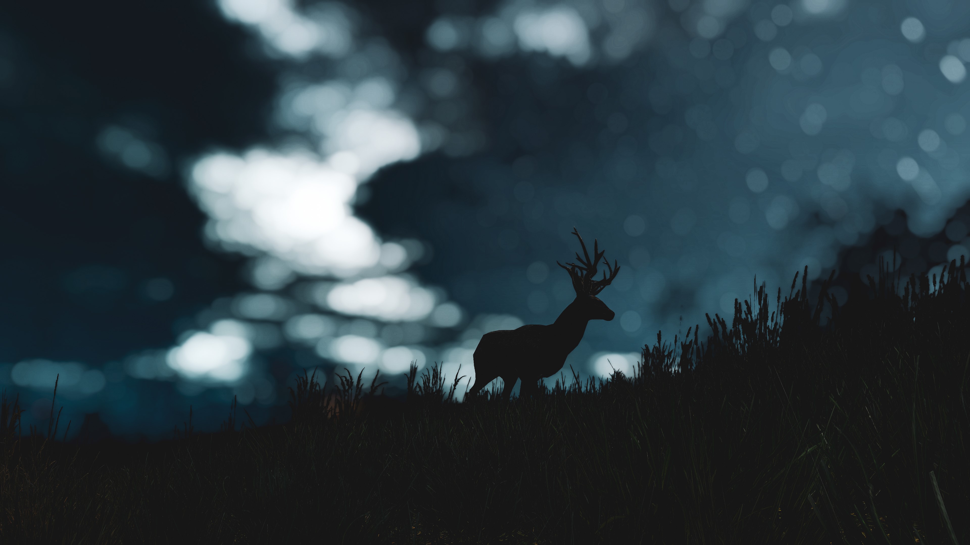 The Witcher, The Witcher 3: Wild Hunt, deer, dark, video games, HD Wallpaper