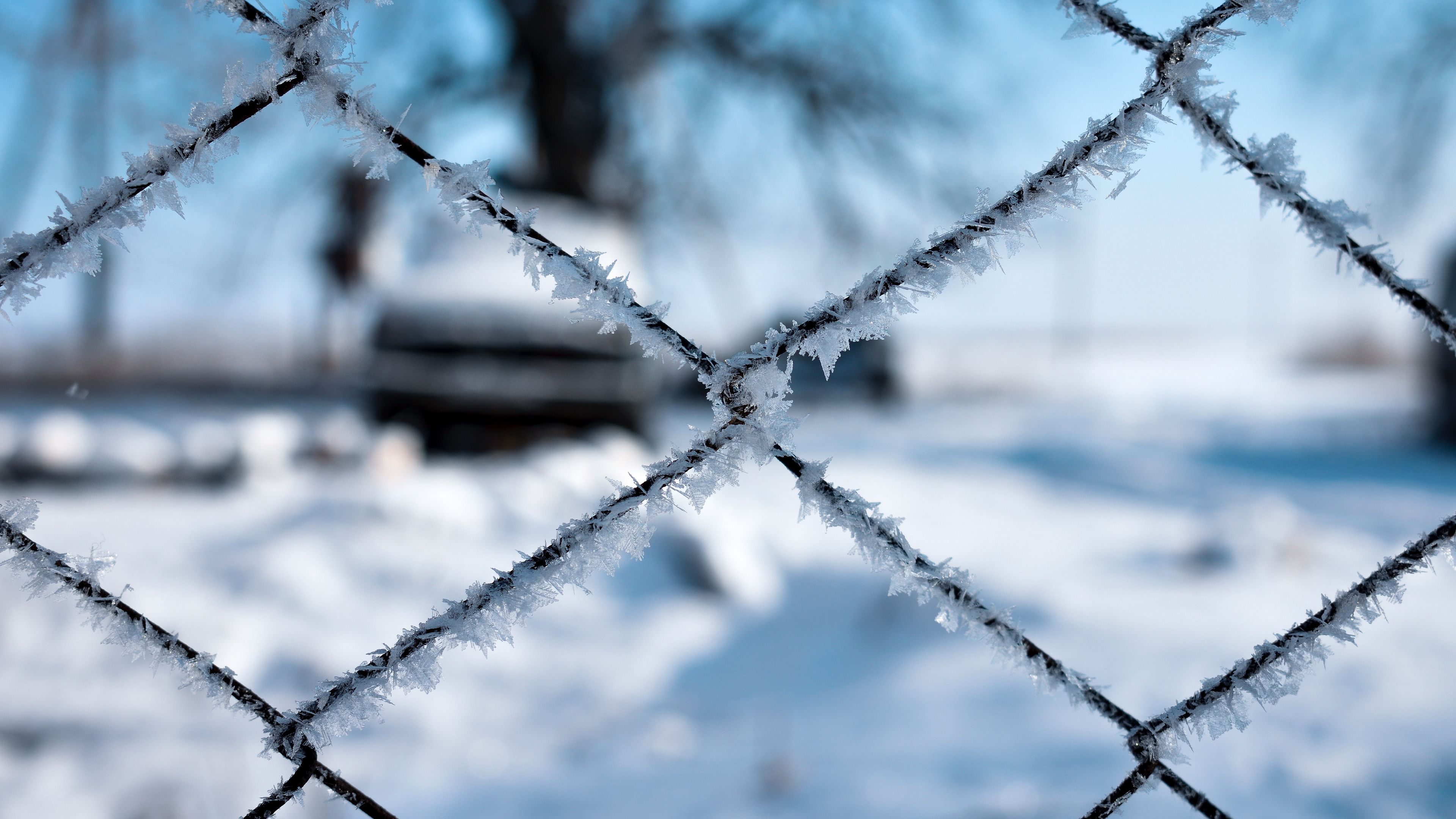 frost, mesh, fence, macro, 4k, HD Wallpaper