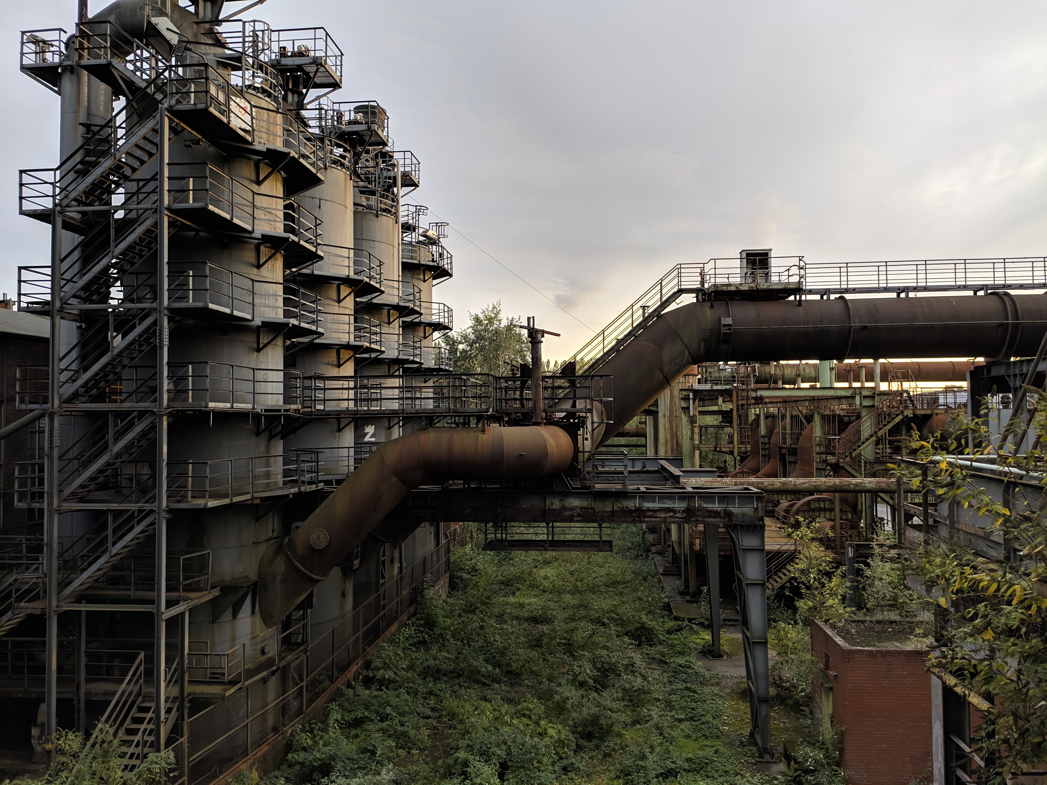 abandoned, factory, Germany, plants, HD Wallpaper