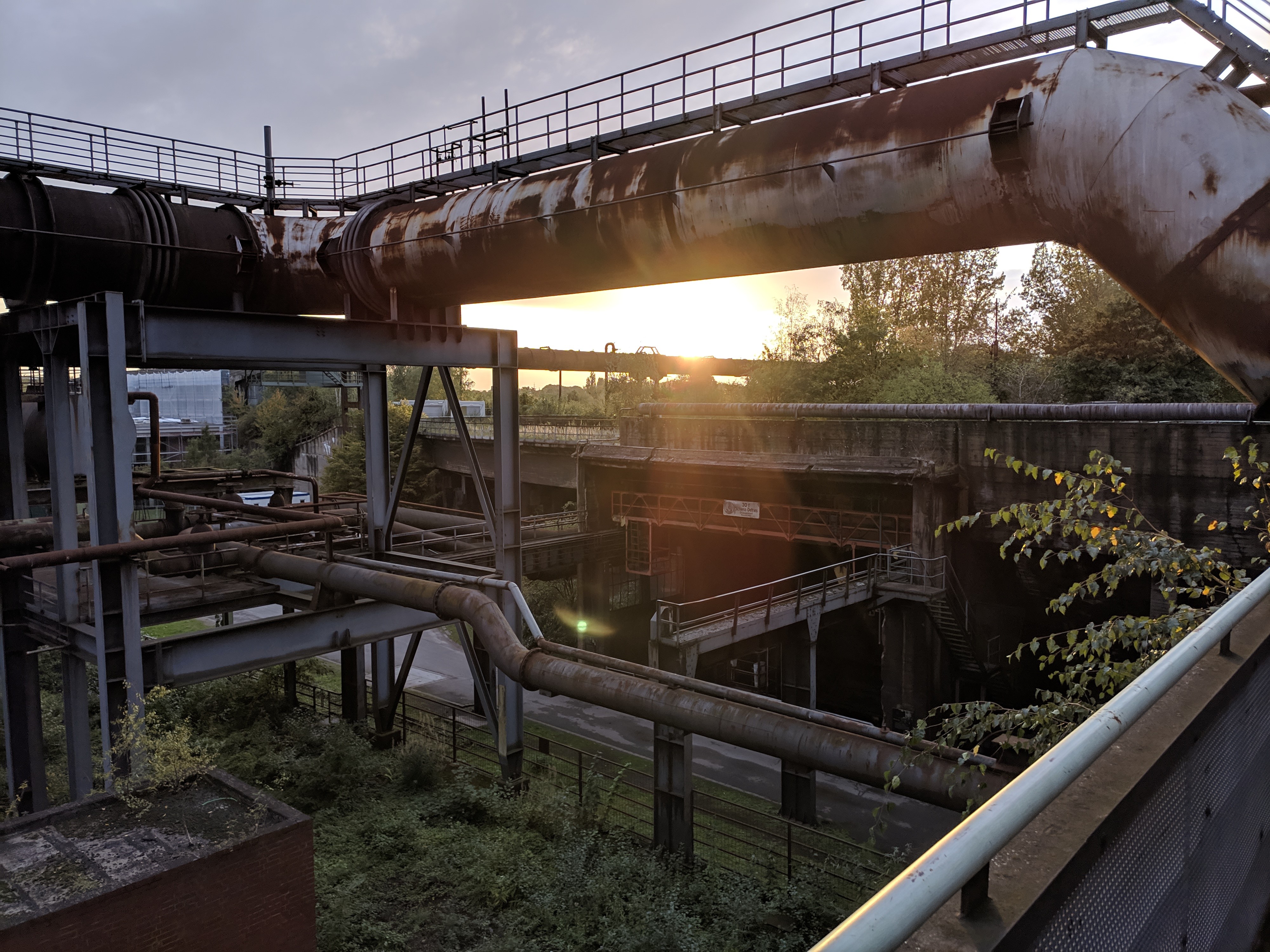 abandoned, factory, Germany, plants, HD Wallpaper