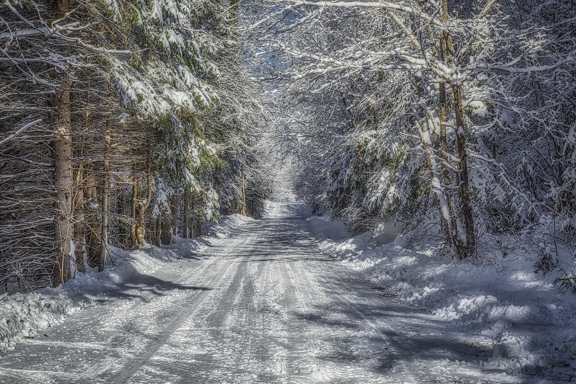 winter, snow, road, trees, outdoors, HDR, HD Wallpaper