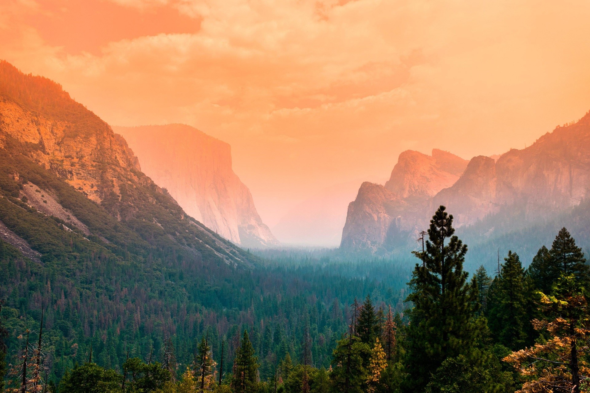 nature, landscape, trees, forest, mountains, Yosemite National Park, HD Wallpaper