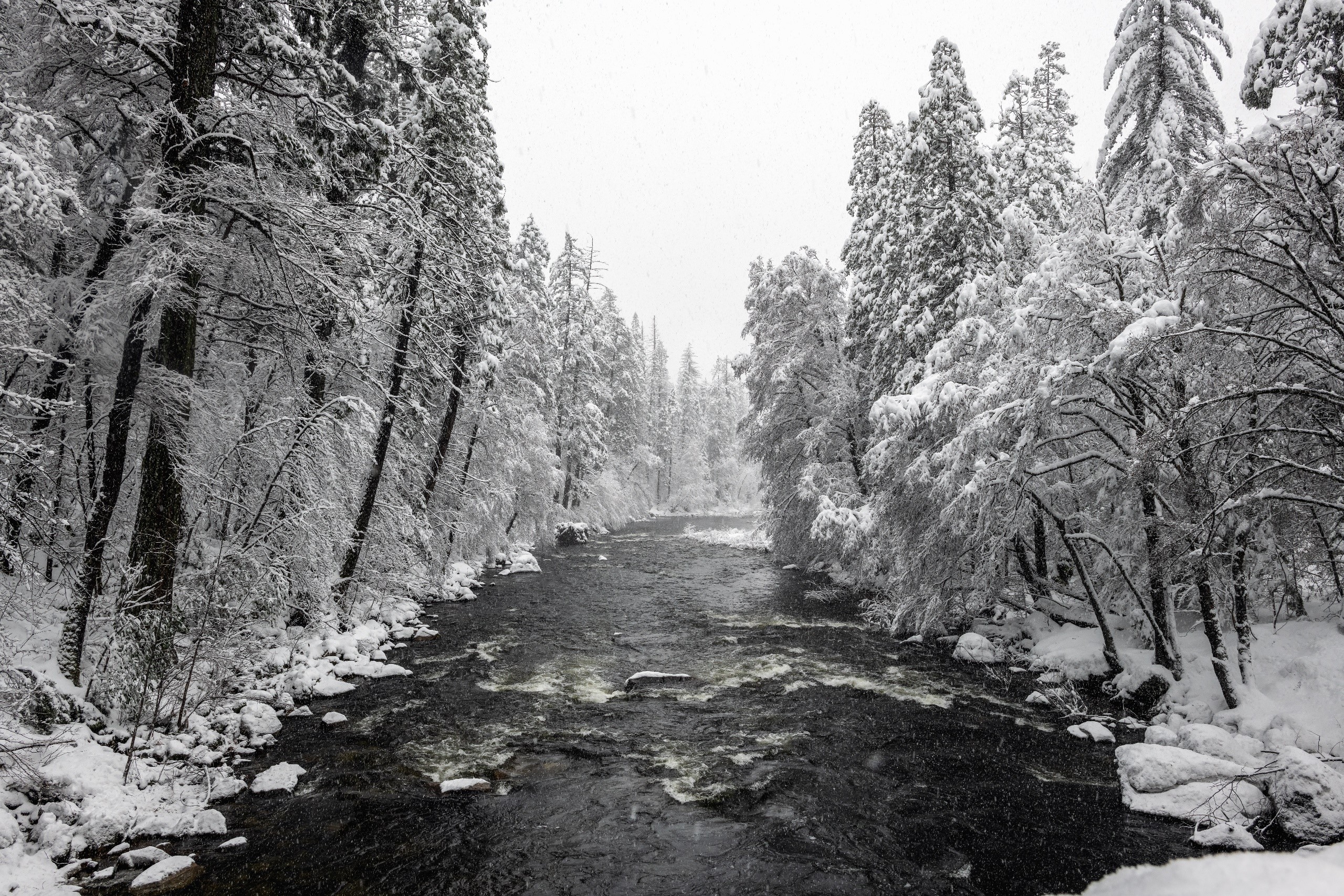 winter, river, water, snow, trees, nature, USA, HD Wallpaper