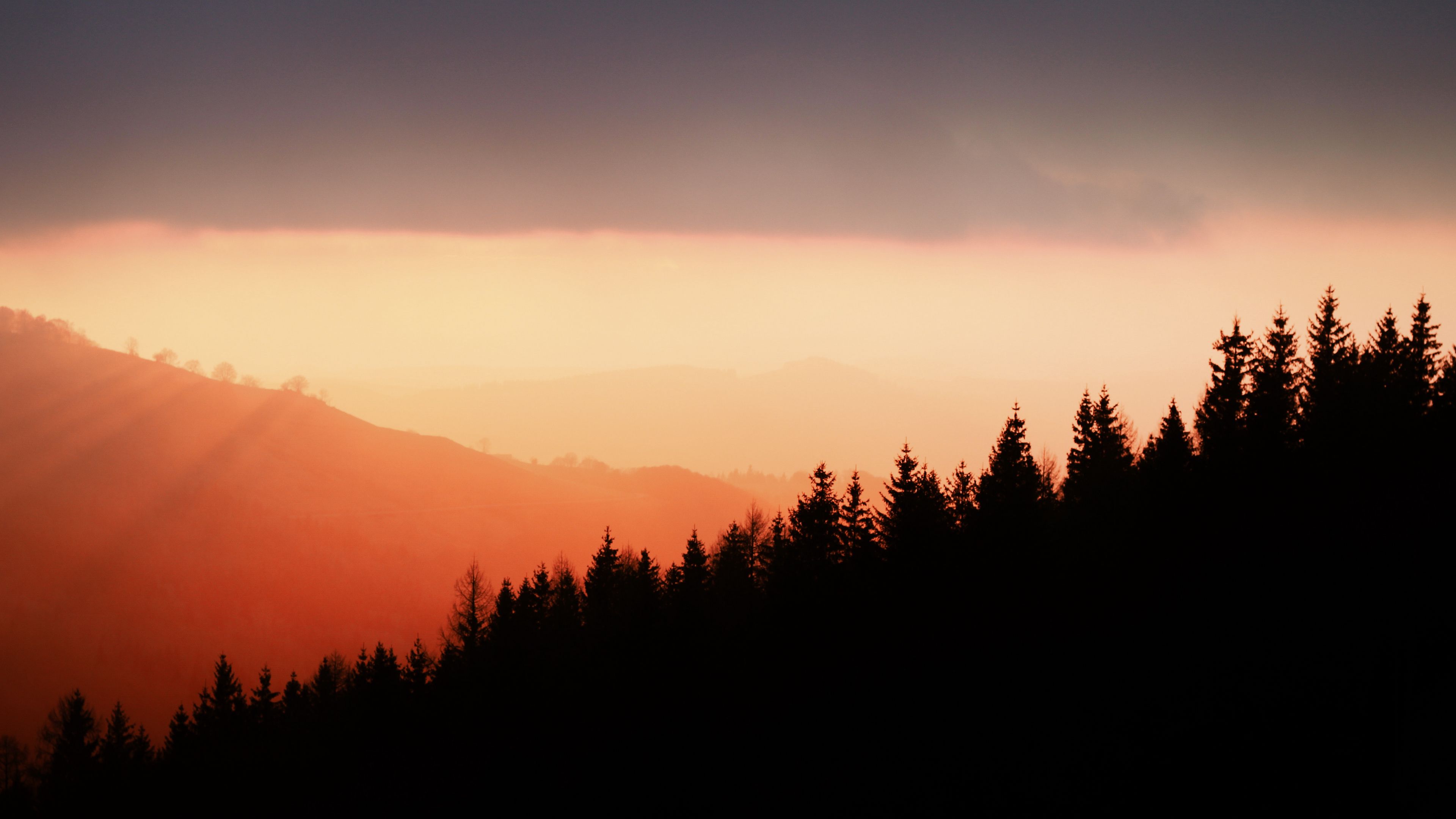 trees, silhouettes, fog, sunset, sky, slope, 4k, HD Wallpaper