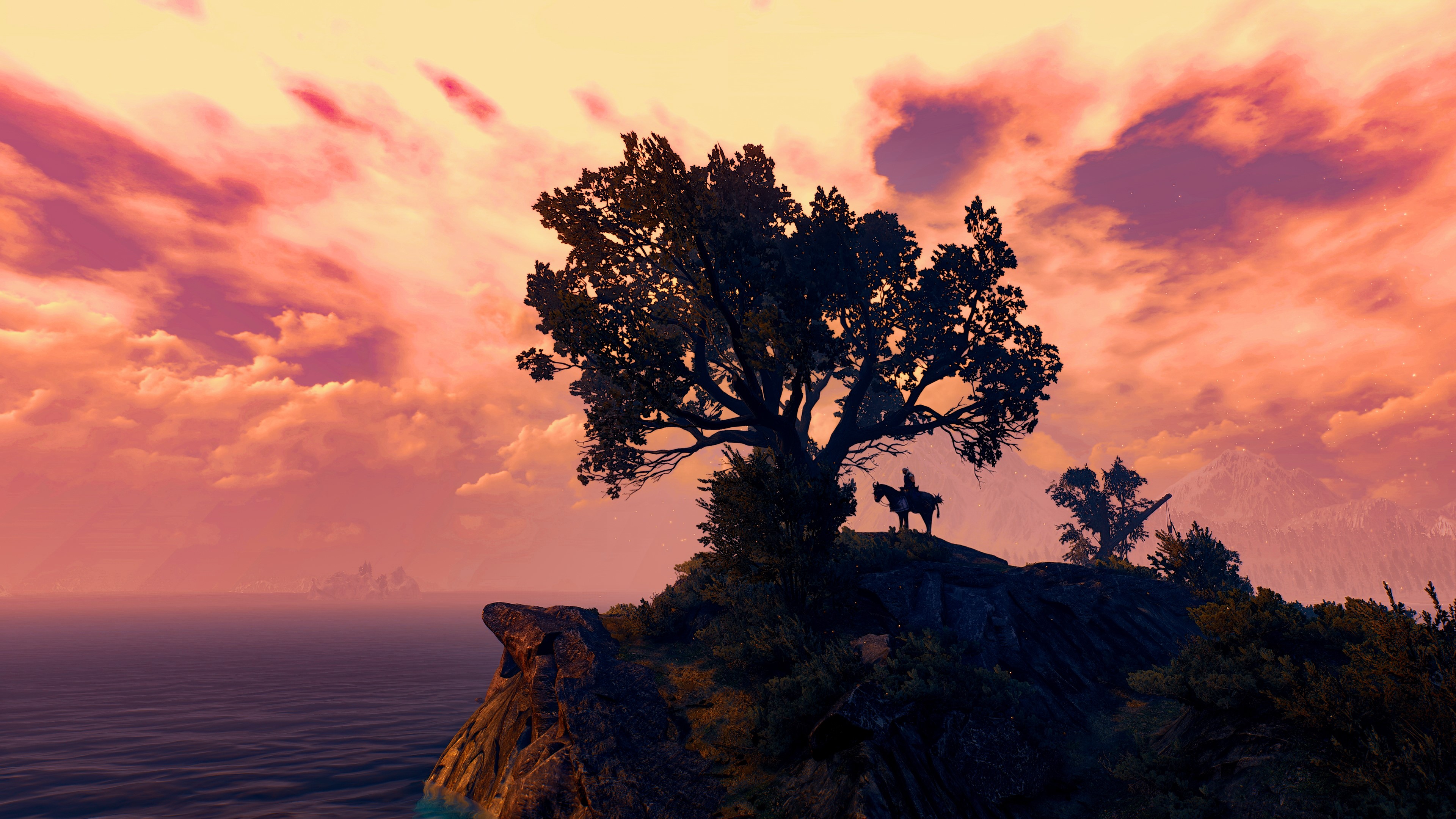 The Witcher, The Witcher 3: Wild Hunt, trees, sunset, sea, clouds, horse, HD Wallpaper