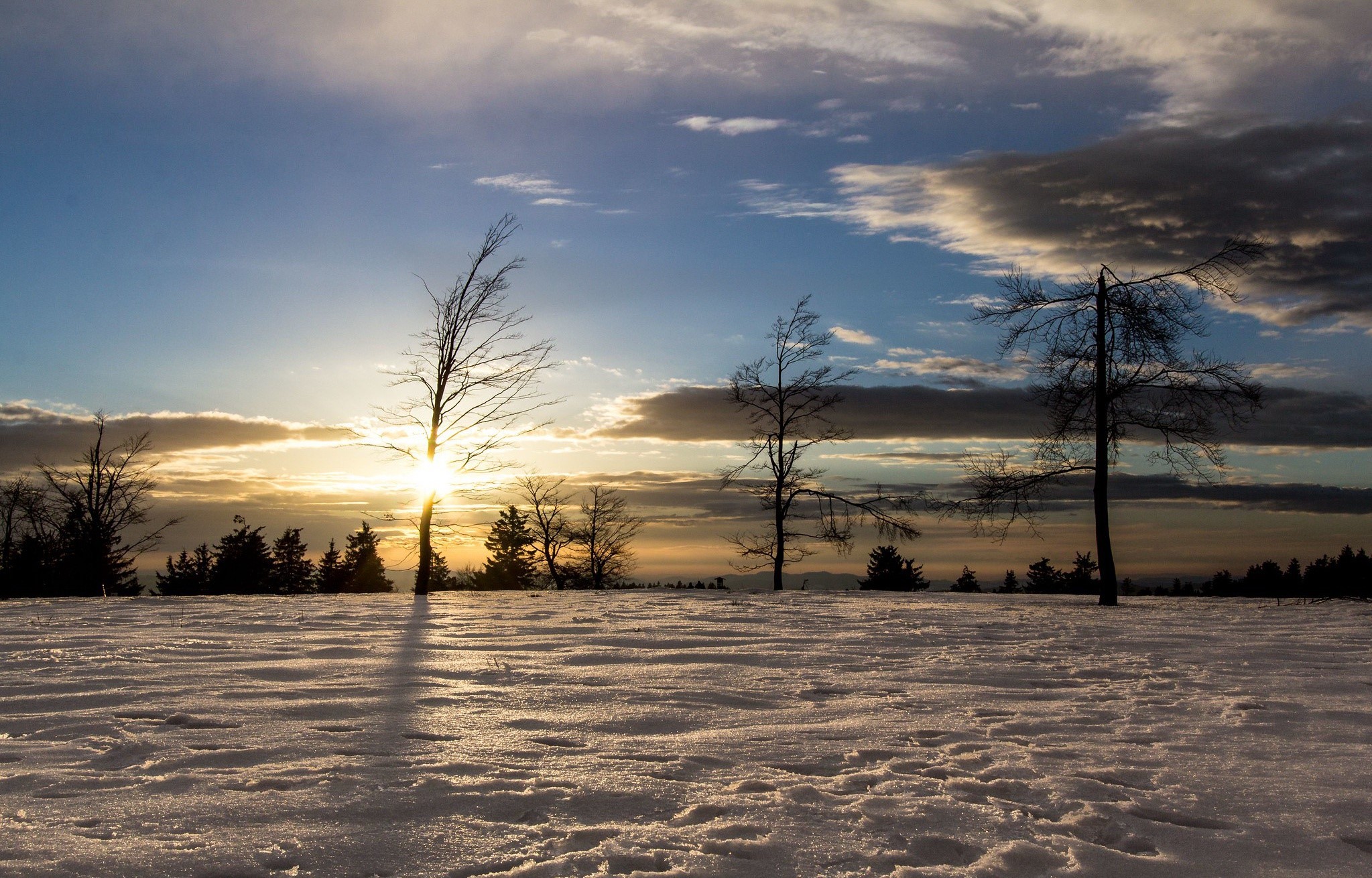 winter, sky, sunlight, snow, trees, nature, HD Wallpaper