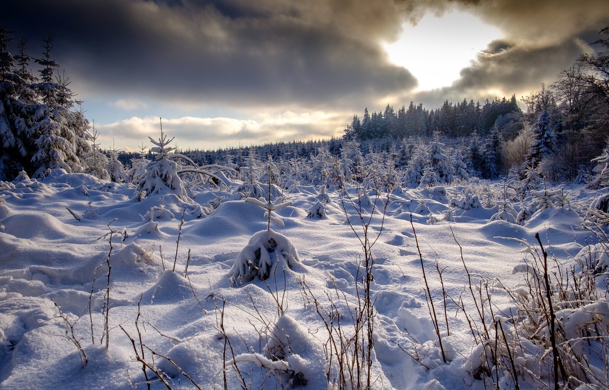 nature, winter, snow, landscape, HD Wallpaper