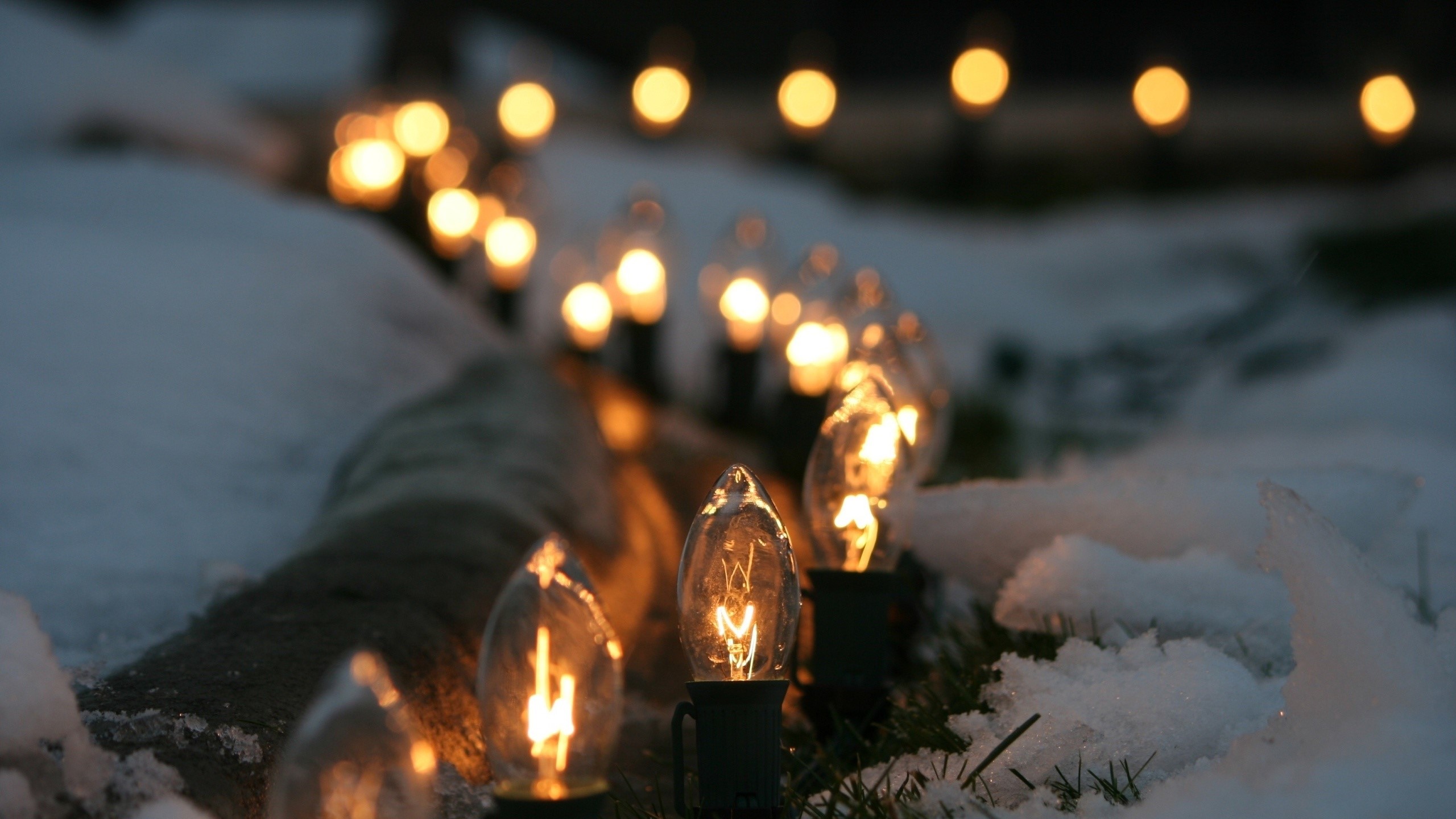 light bulb, lights, snow, winter, depth of field, HD Wallpaper